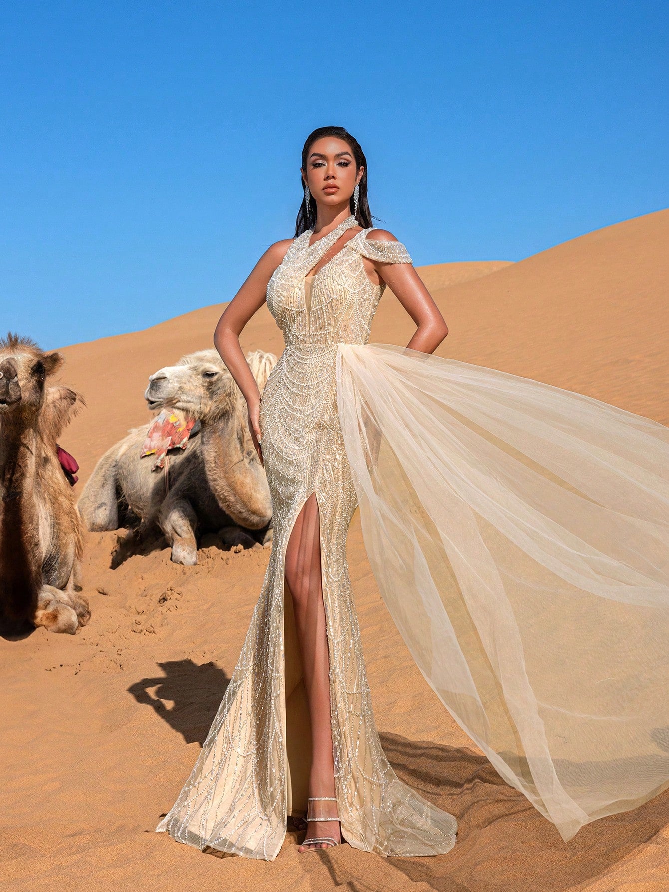 Luxury Asymmetrical Neck Draped Side Beaded  Formal Party Dresses & Evening Gowns Dress & Embellished Dress