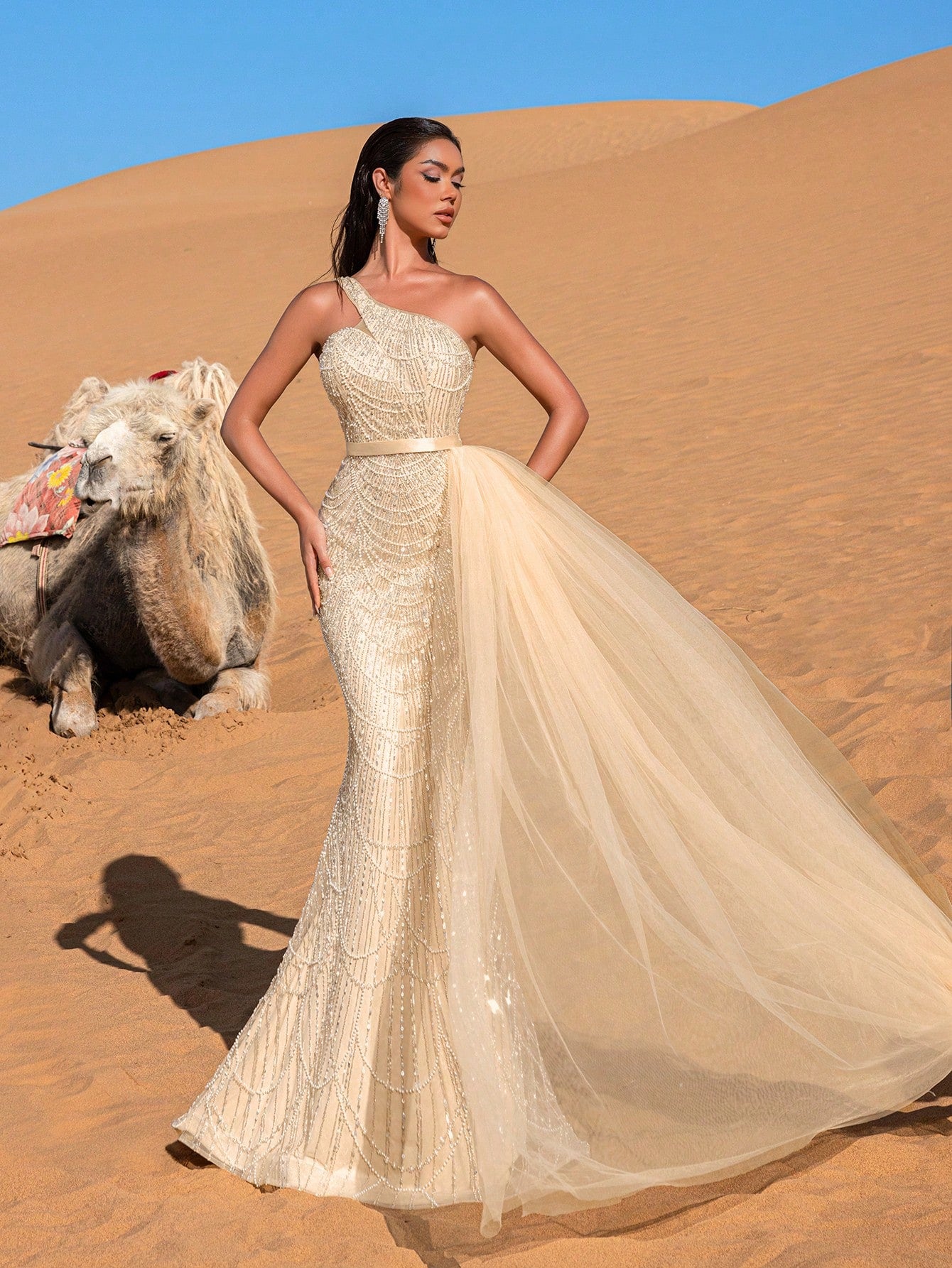 Luxury One Shoulder Sheer Overlay Beaded Formal Evening Dress & Embellished Dress & Beaded Gowns & Evening Gowns