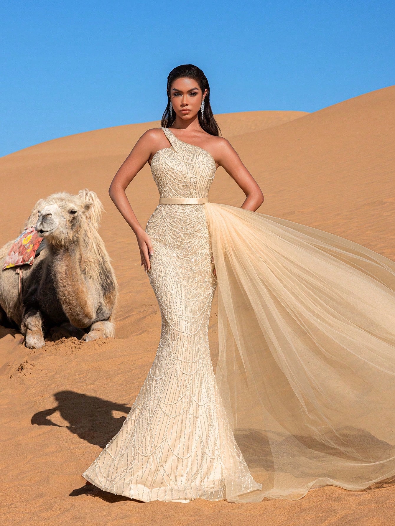 Luxury One Shoulder Sheer Overlay Beaded Formal Evening Dress & Embellished Dress & Beaded Gowns & Evening Gowns