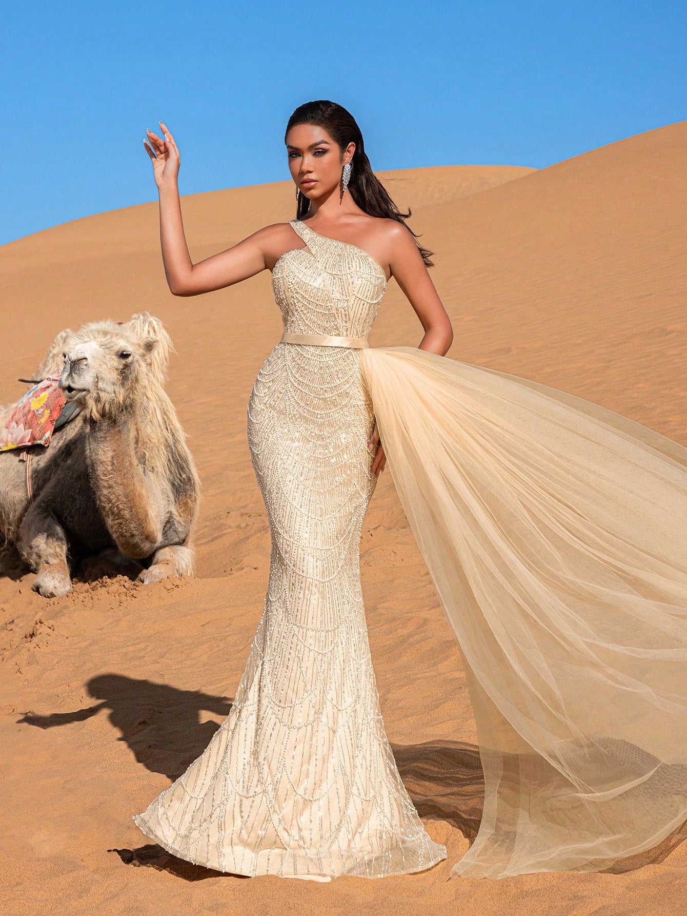 Luxury One Shoulder Sheer Overlay Beaded Formal Evening Dress & Embellished Dress & Beaded Gowns & Evening Gowns