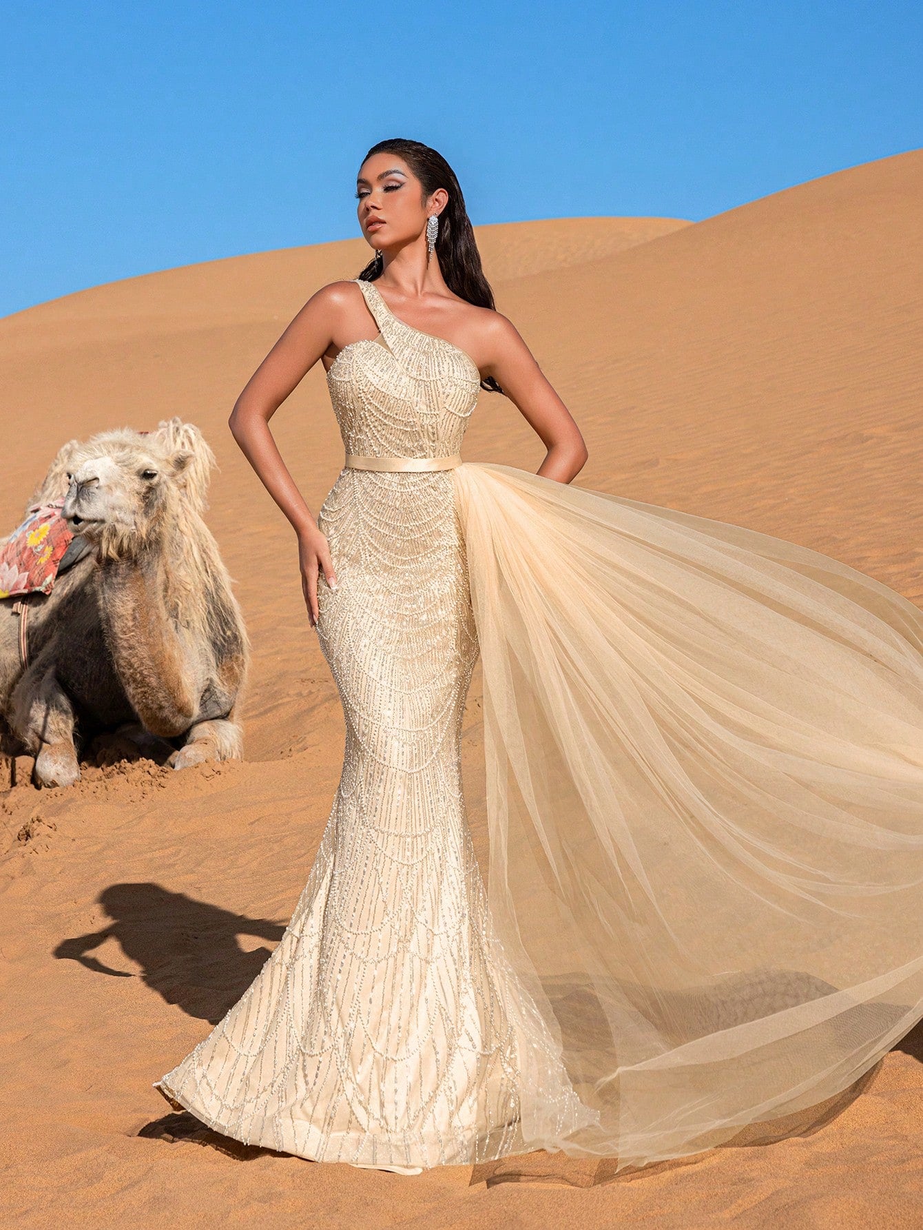 Luxury One Shoulder Sheer Overlay Beaded Formal Evening Dress & Embellished Dress & Beaded Gowns & Evening Gowns
