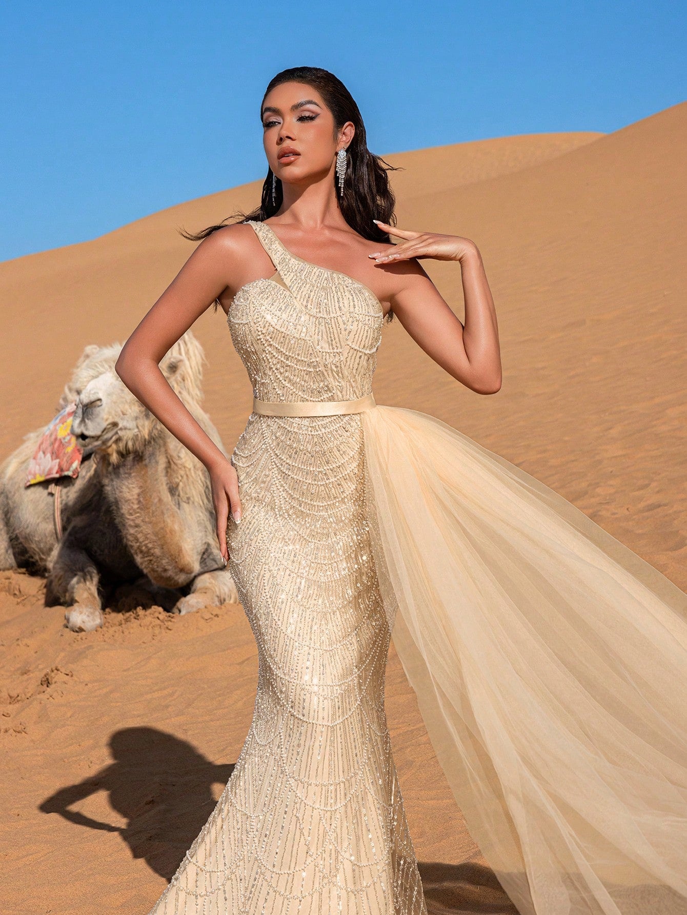 Luxury One Shoulder Sheer Overlay Beaded Formal Evening Dress & Embellished Dress & Beaded Gowns & Evening Gowns