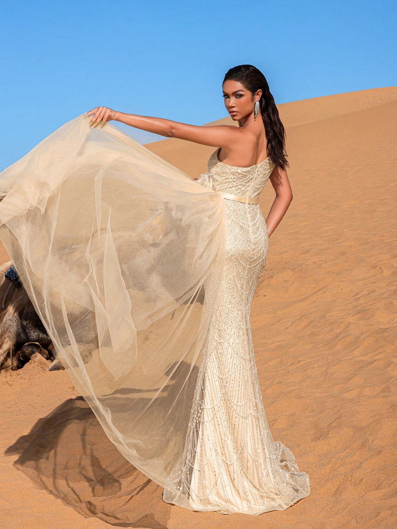 Luxury One Shoulder Sheer Overlay Beaded Formal Evening Dress & Embellished Dress & Beaded Gowns & Evening Gowns
