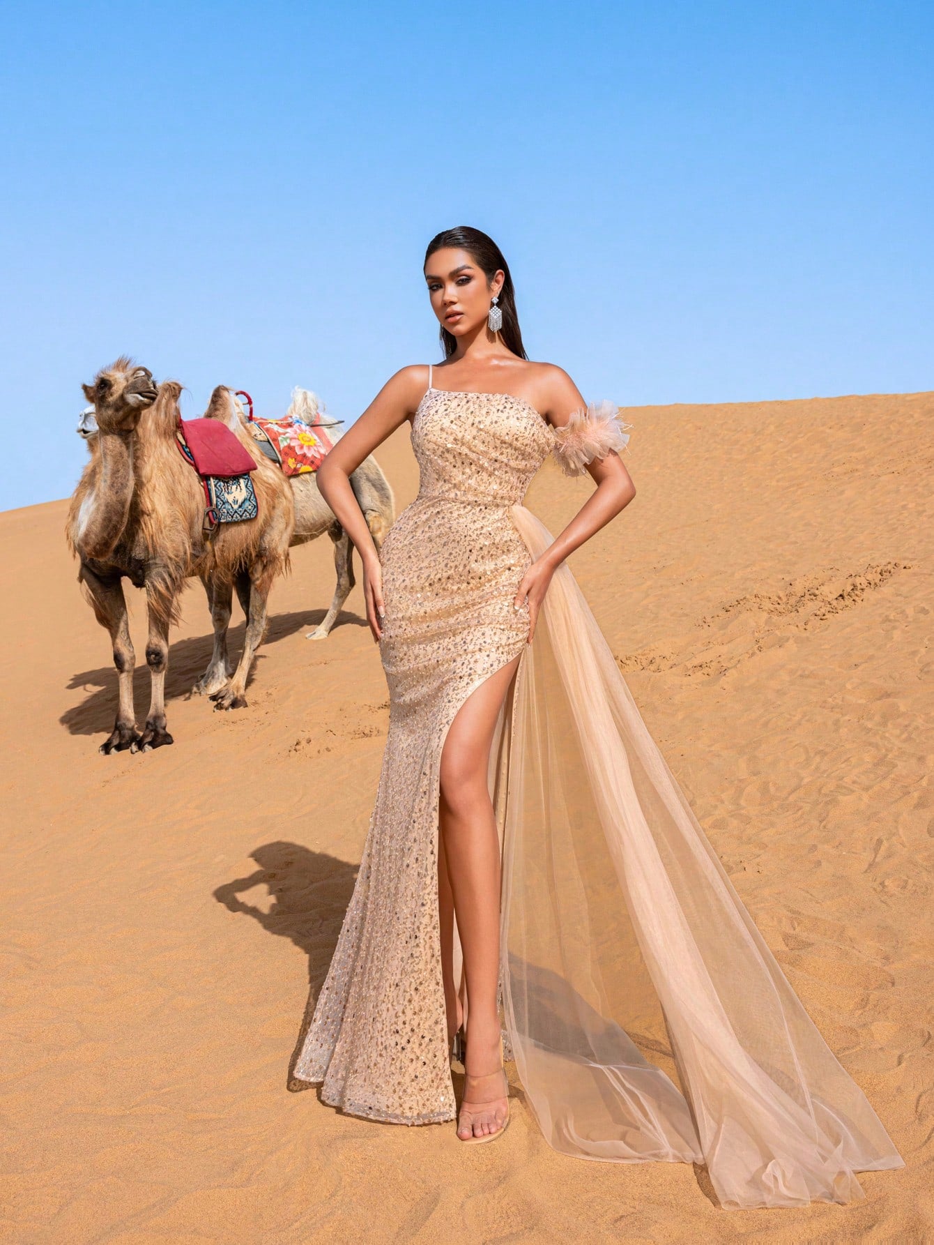 Sparkling Sequins Sheer Overlay Lace-up Back Beaded Formal Dresses & Evening Gowns
