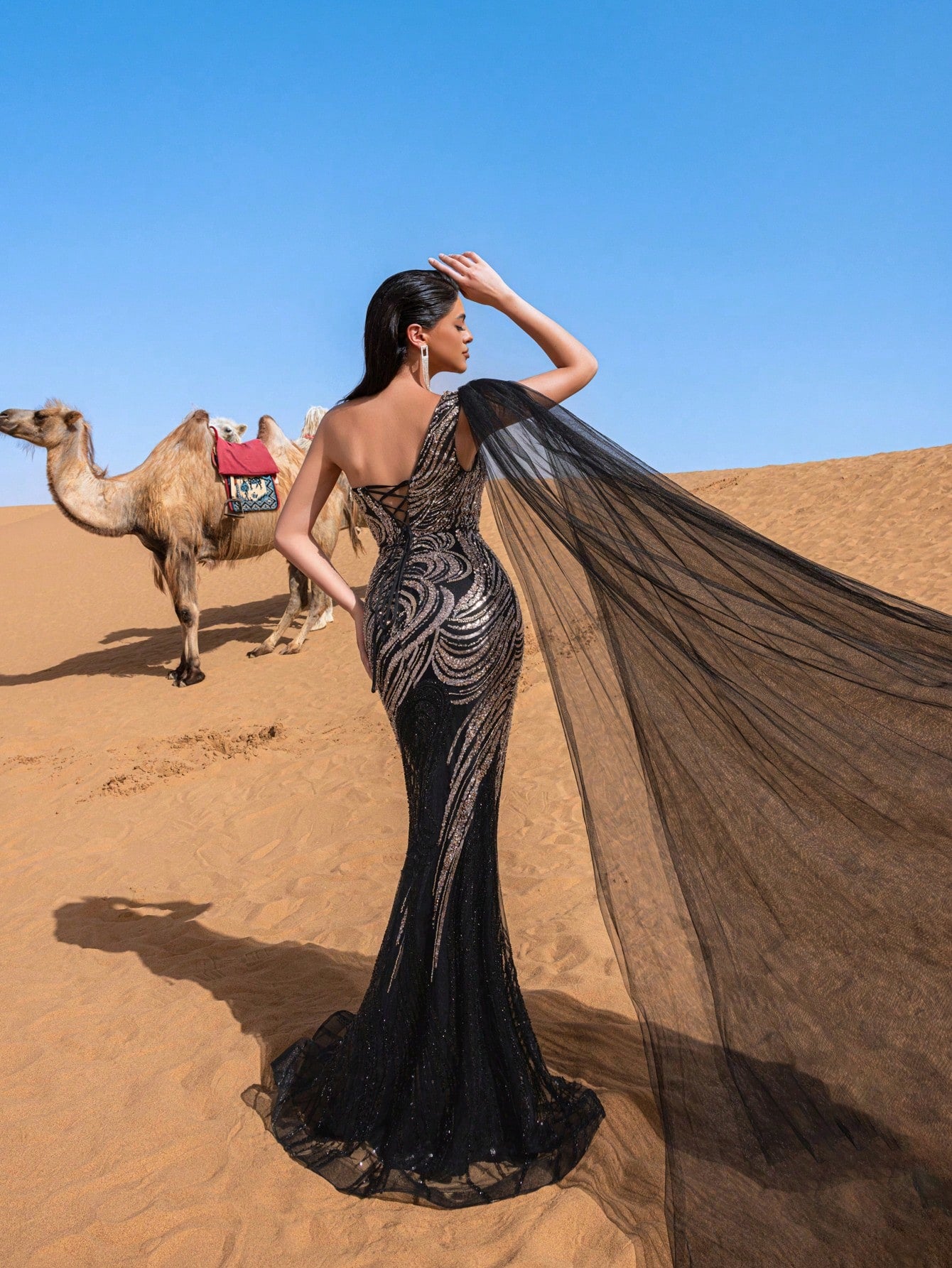 Gorgeous One Shoulder Sheer Cloak Sleeve Graphic Sequin Beaded Formal Dresses & Evening Gowns