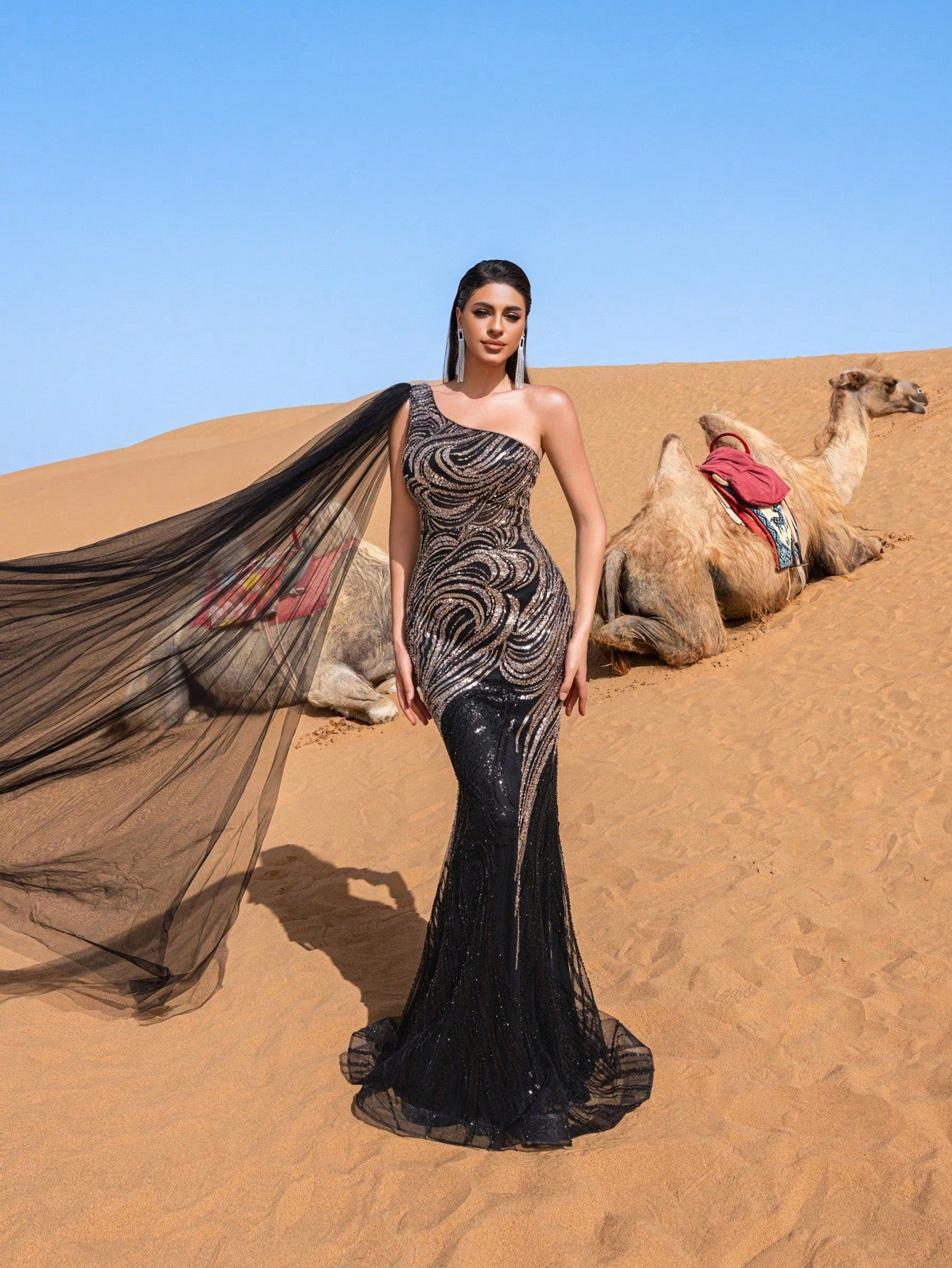 Gorgeous One Shoulder Sheer Cloak Sleeve Graphic Sequin Beaded Formal Dresses & Evening Gowns