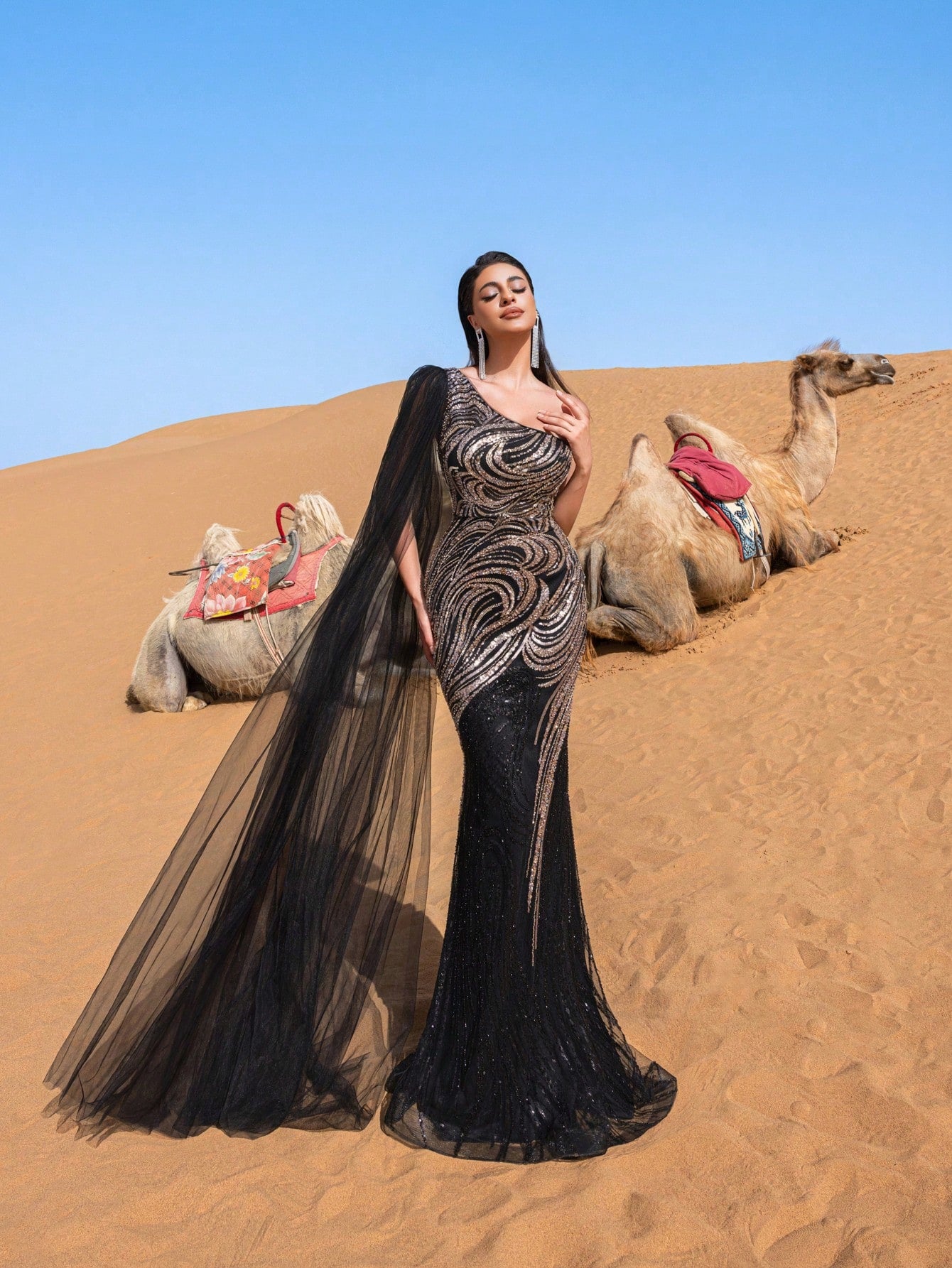Gorgeous One Shoulder Sheer Cloak Sleeve Graphic Sequin Beaded Formal Dresses & Evening Gowns