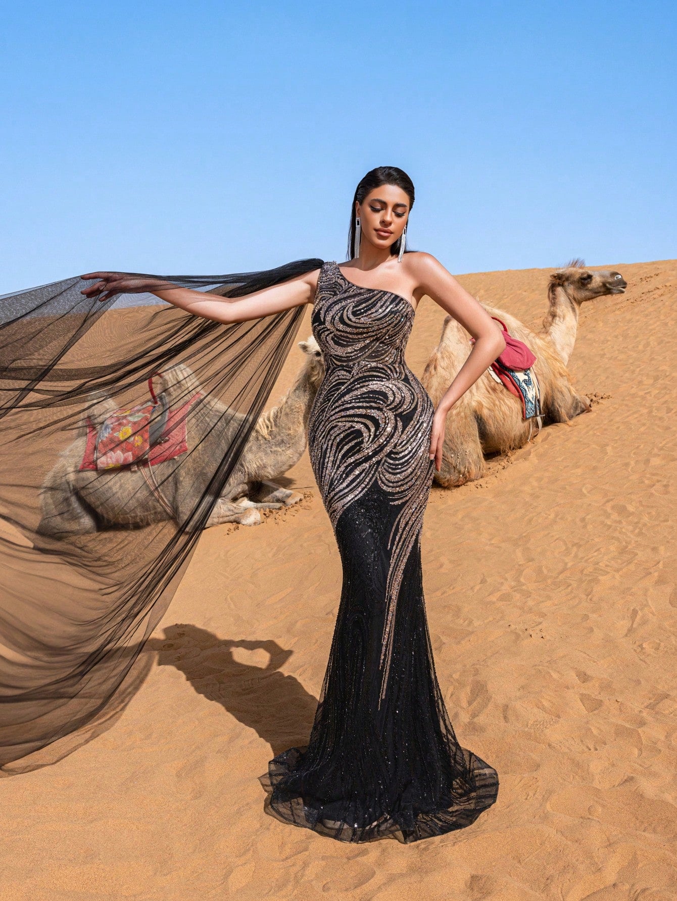 Gorgeous One Shoulder Sheer Cloak Sleeve Graphic Sequin Beaded Formal Dresses & Evening Gowns