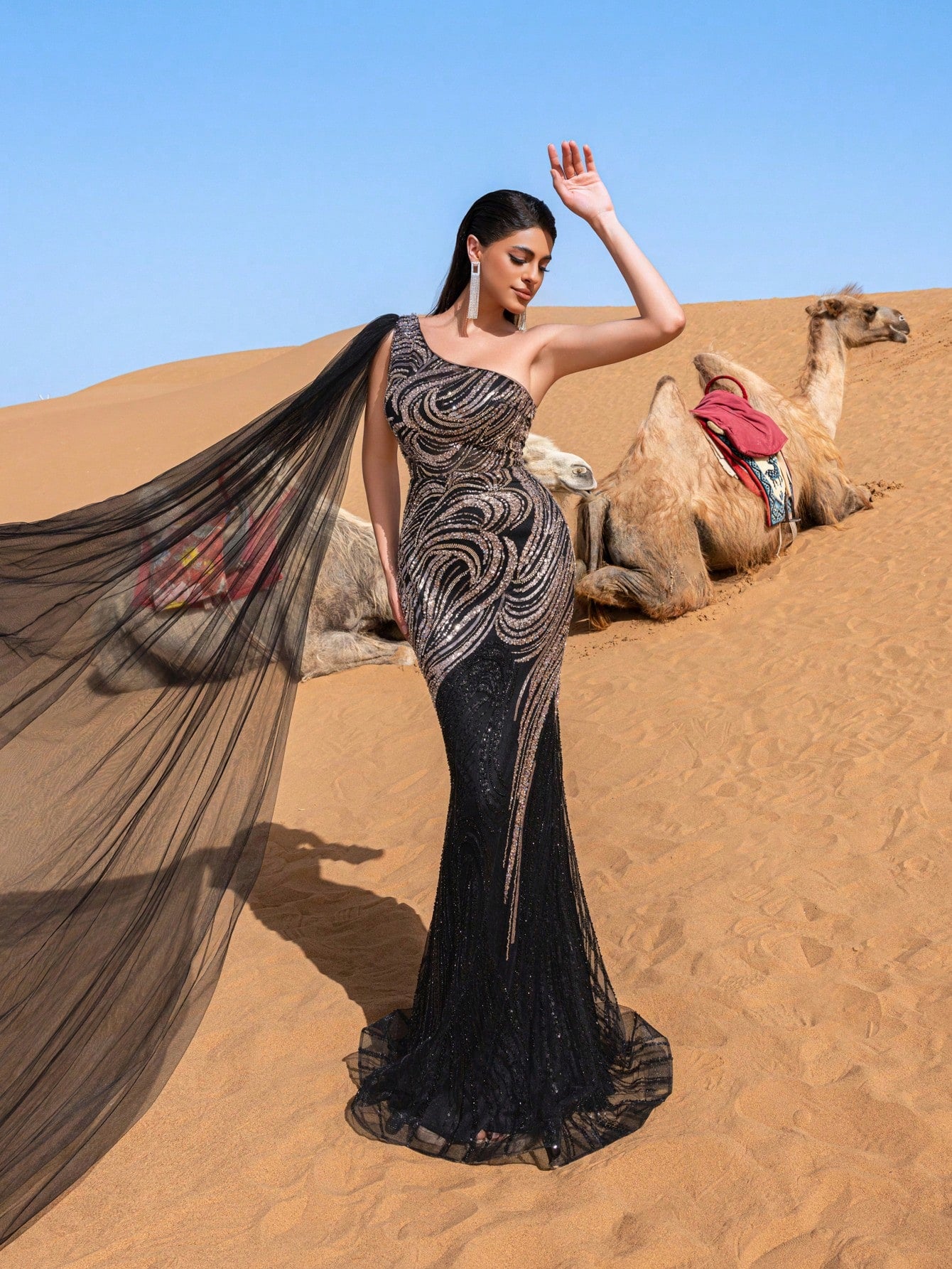 Gorgeous One Shoulder Sheer Cloak Sleeve Graphic Sequin Beaded Formal Dresses & Evening Gowns
