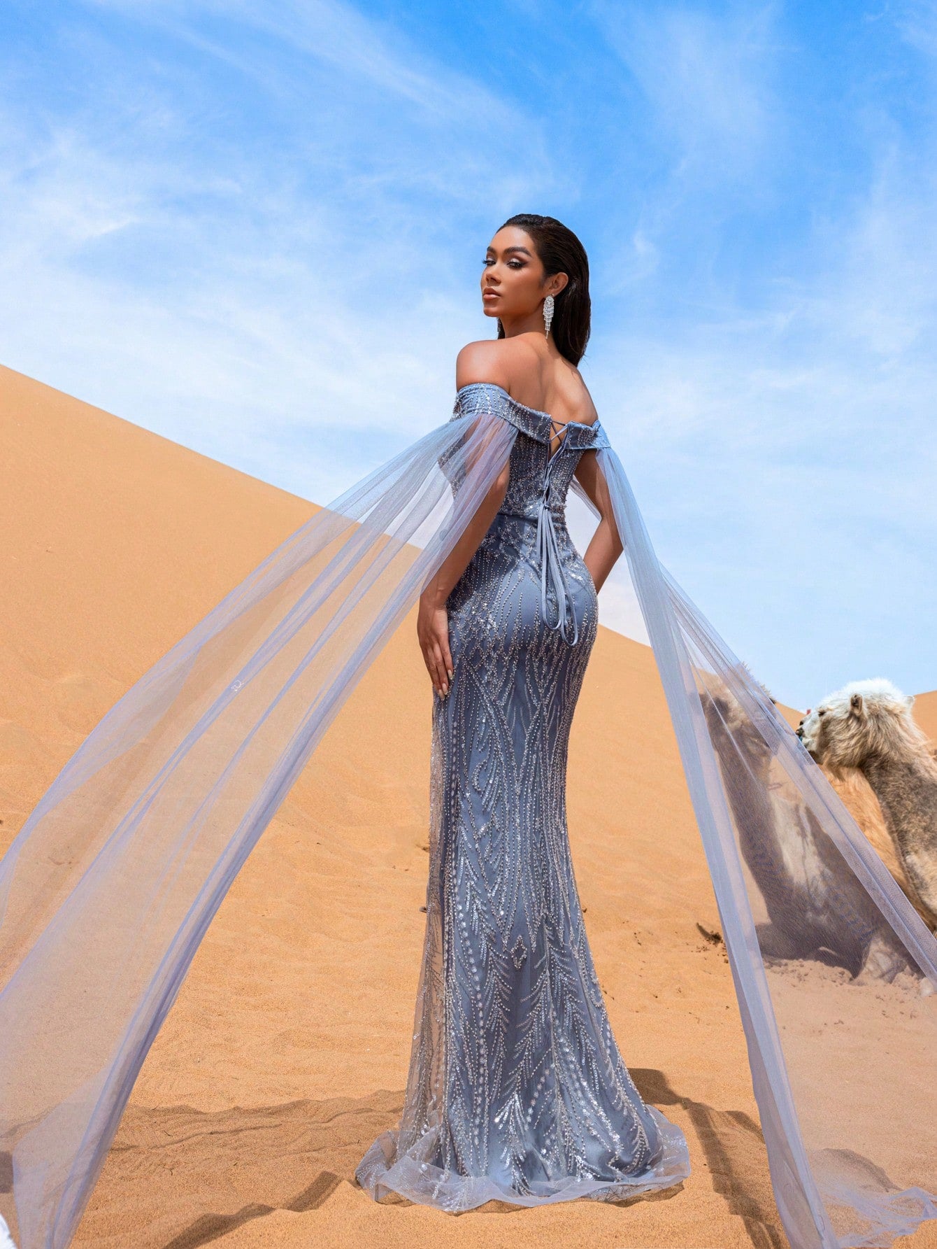 Elegant Off Shoulder Sheer Cape Sleeves Sequin Beaded Formal Dresses & Evening Gowns Dress