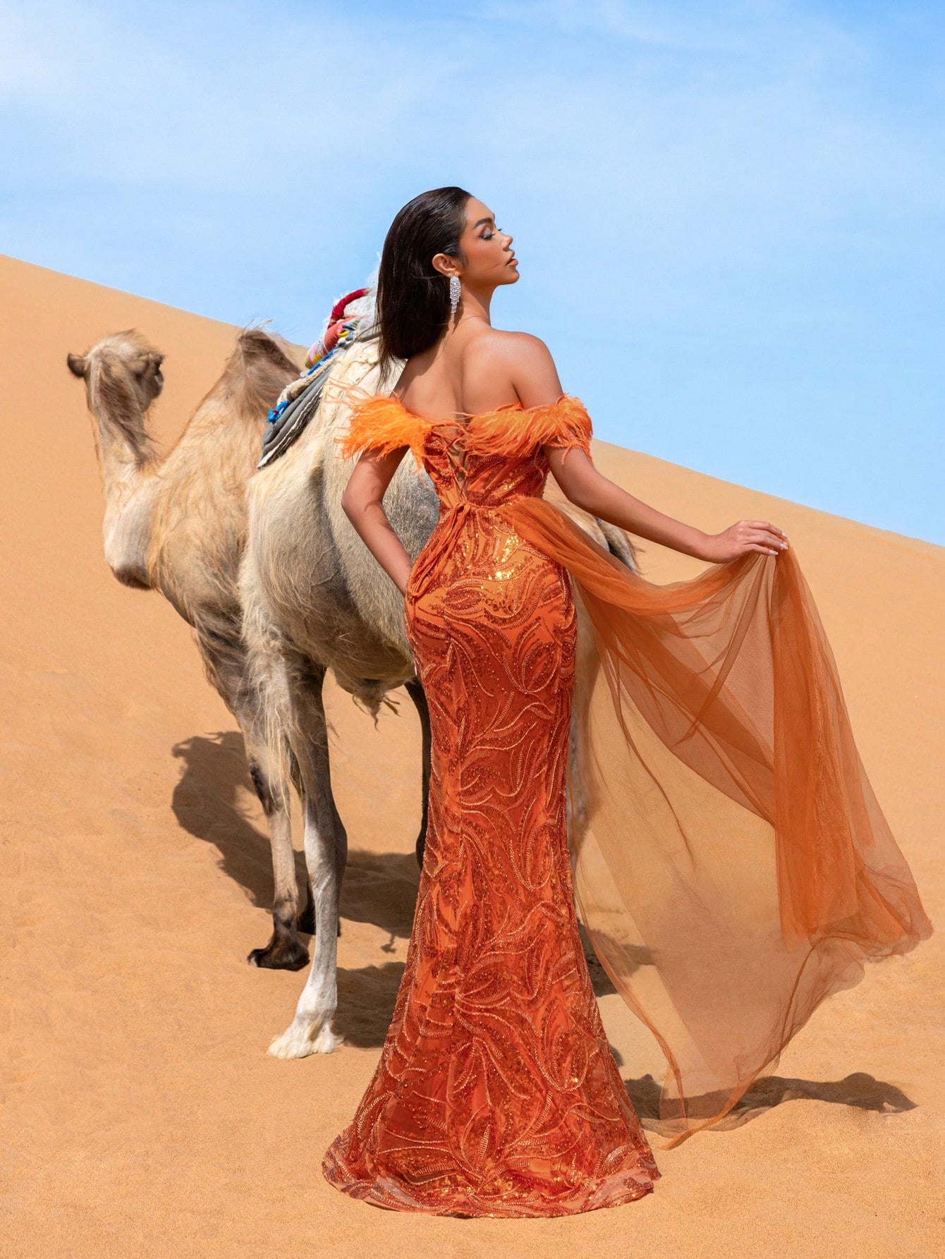 Gorgeous Off Shoulder Sheer Overlay Beaded Formal Dresses & Evening Gowns