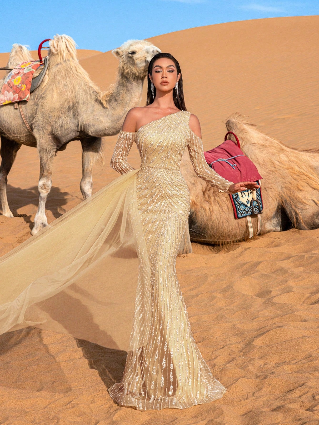 Gorgeous Asymmetrical Neck Tulle Overlay Mermaid Hem Beaded Evening Dress