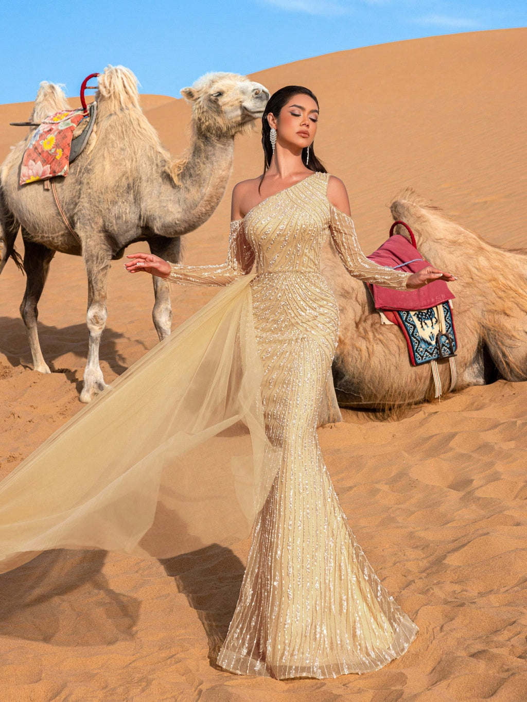 Gorgeous Asymmetrical Neck Tulle Overlay Mermaid Hem Beaded Evening Dress