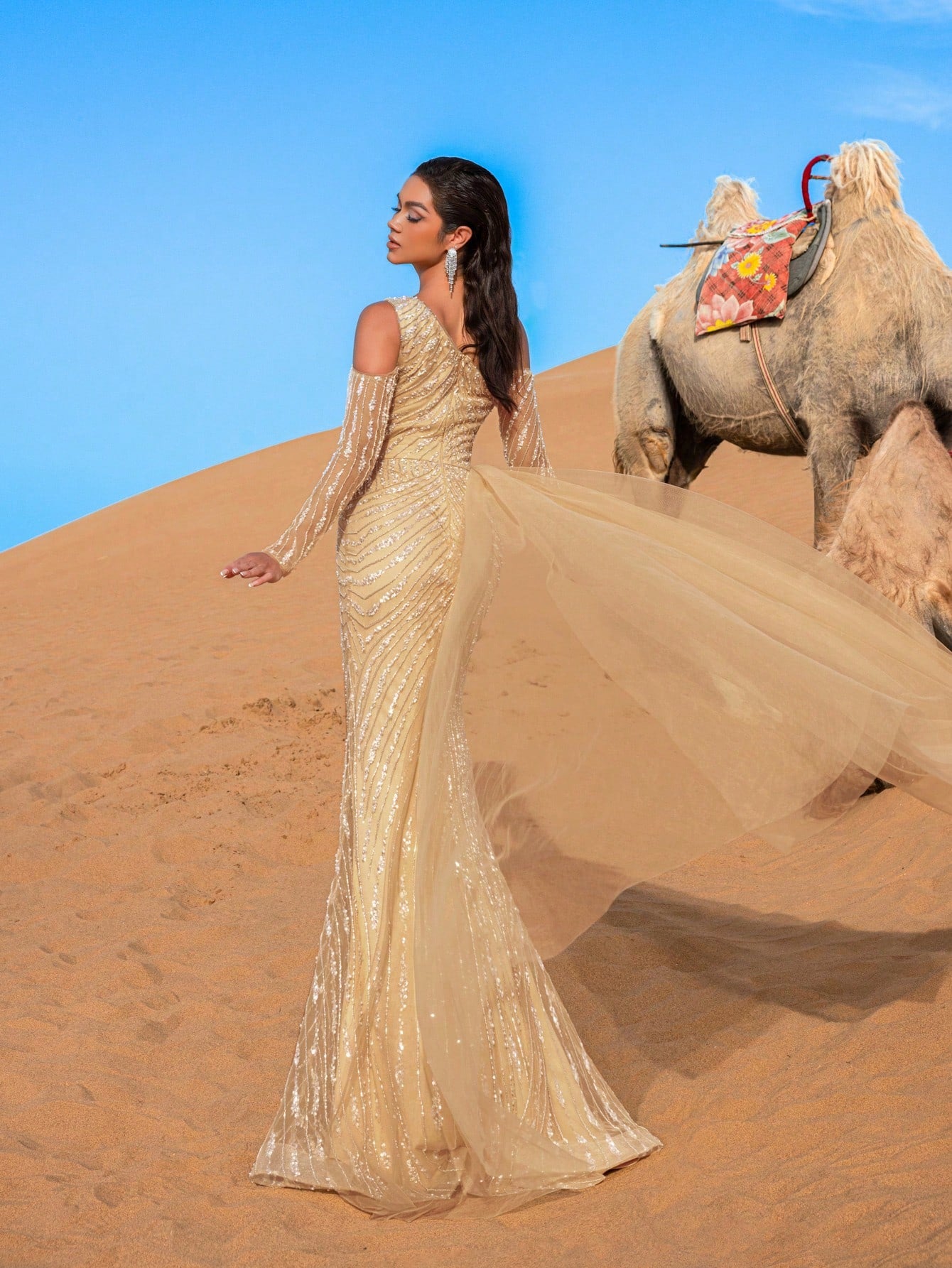 Gorgeous Asymmetrical Neck Tulle Overlay Mermaid Hem Beaded Evening Dress