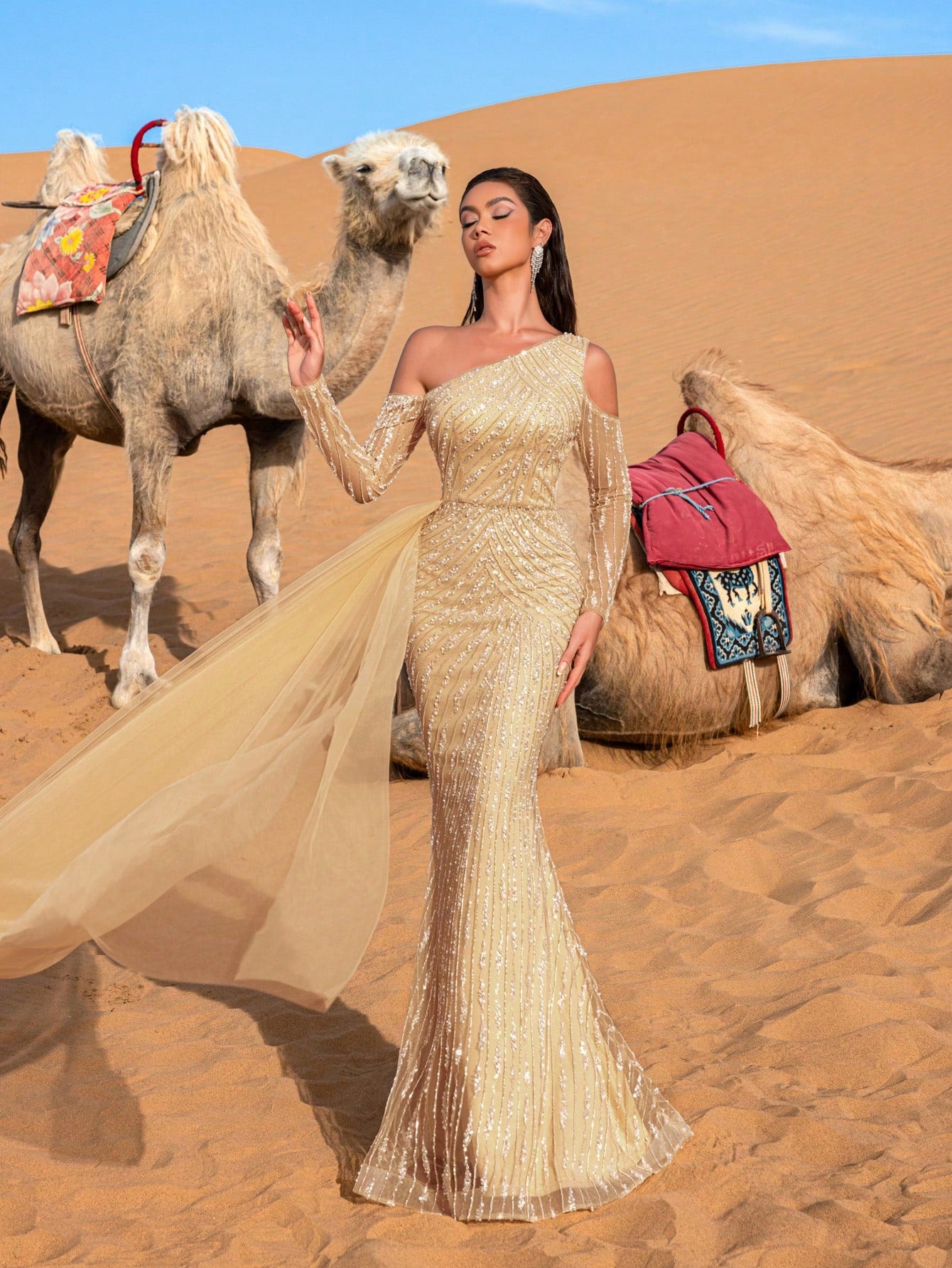 Gorgeous Asymmetrical Neck Tulle Overlay Mermaid Hem Beaded Evening Dress