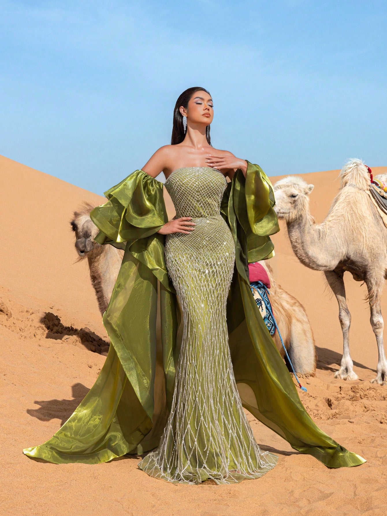 Gorgeous Off-Shoulder Beaded Evening Gown with Wide-Layered Satin Cape & Fitted Silhouette