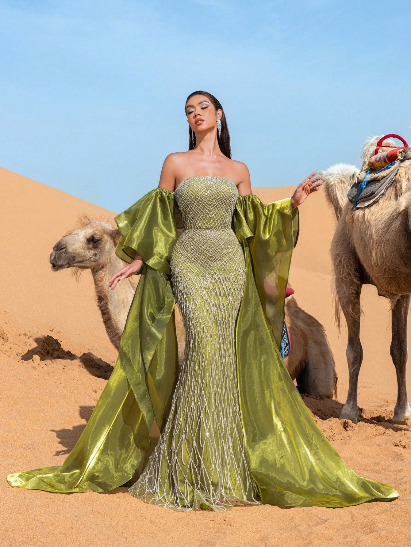 Gorgeous Off-Shoulder Beaded Evening Gown with Wide-Layered Satin Cape & Fitted Silhouette