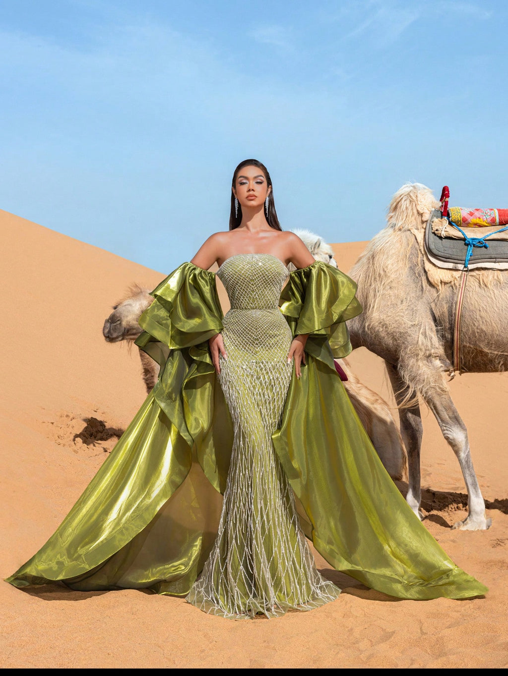 Gorgeous Off-Shoulder Beaded Evening Gown with Wide-Layered Satin Cape & Fitted Silhouette
