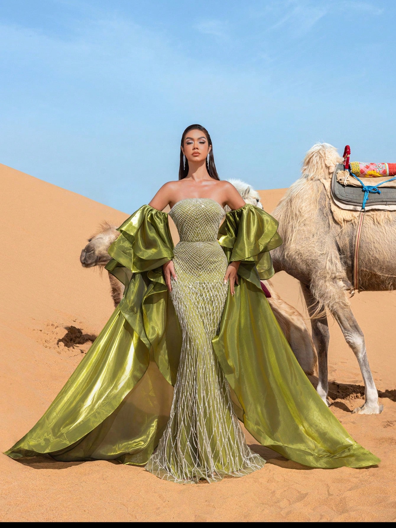 Gorgeous Off-Shoulder Beaded Evening Gown with Wide-Layered Satin Cape & Fitted Silhouette