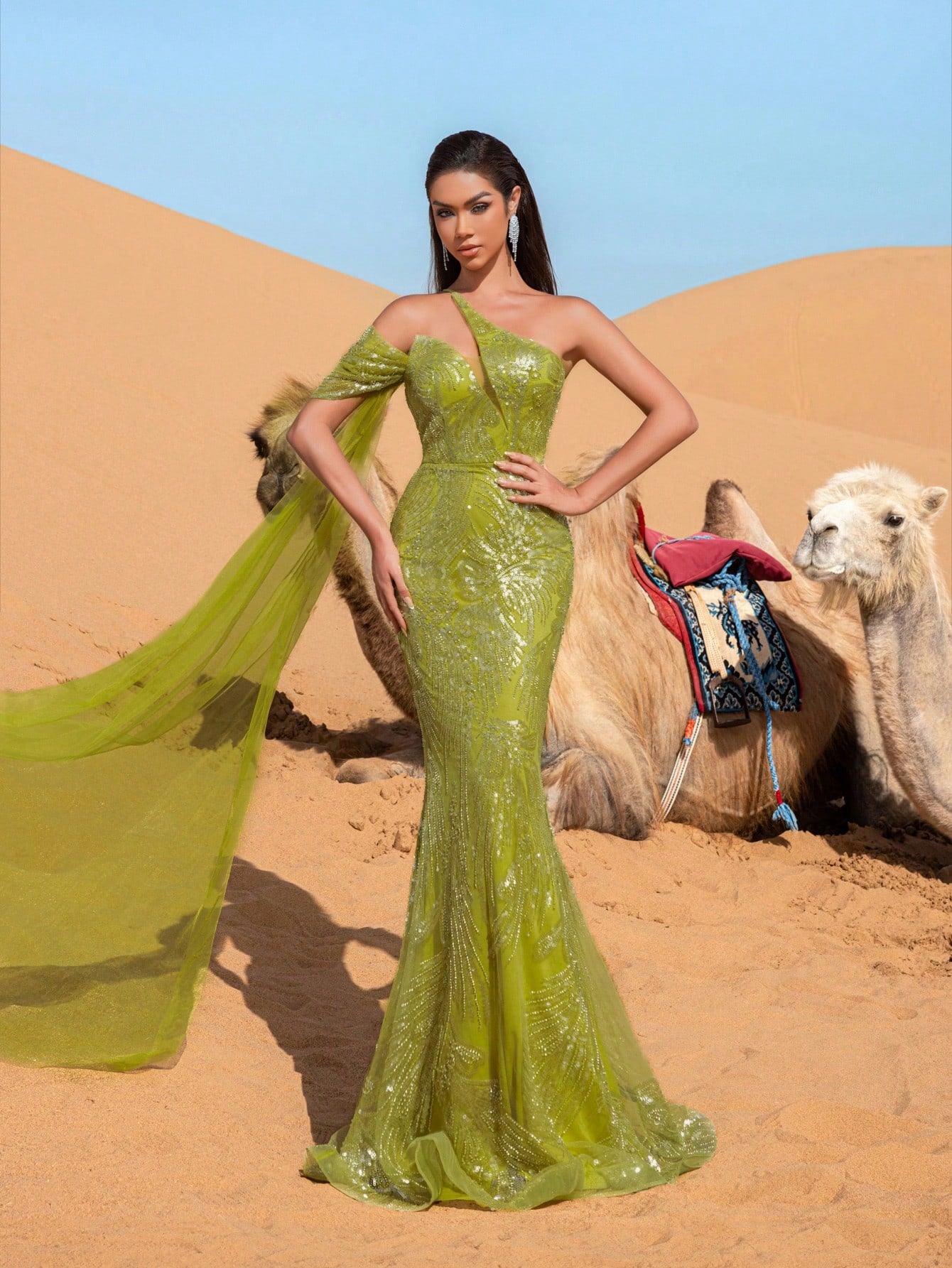 Gorgeous Asymmetrical Neck Mermaid Hem Beaded Formal Dresses & Evening Gowns