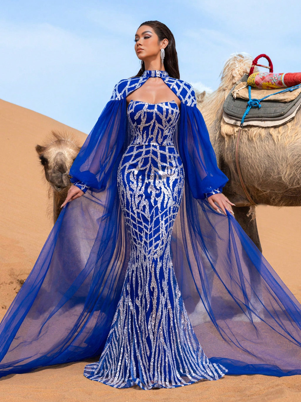 Gorgeous Mock Neck Lantern Sleeves Mesh Overlay Graphic Sequin Formal Cape Dress
