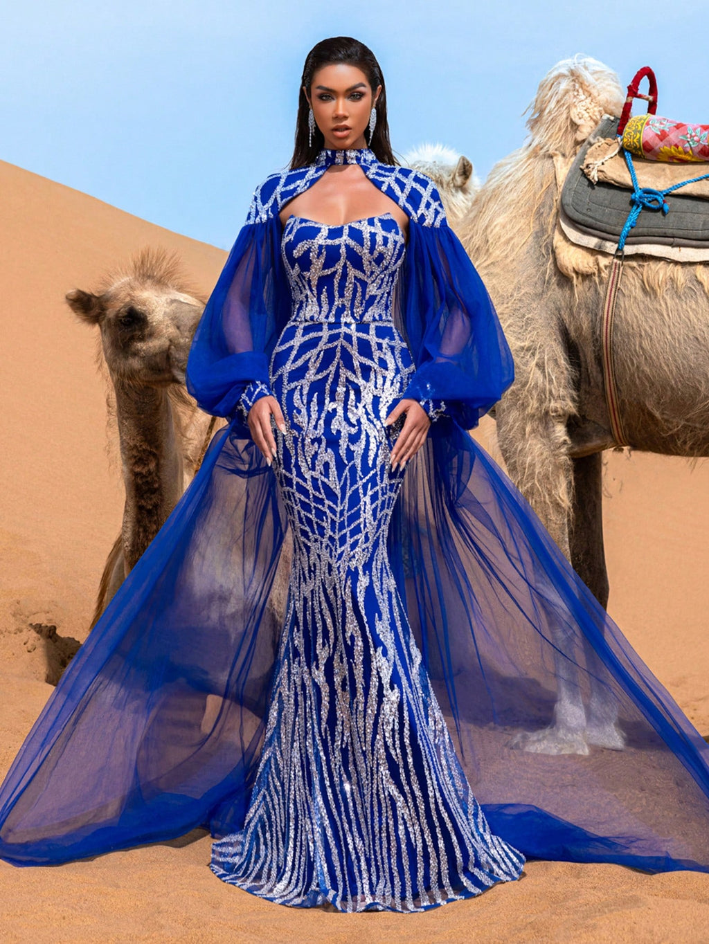 Gorgeous Mock Neck Lantern Sleeves Mesh Overlay Graphic Sequin Formal Cape Dress