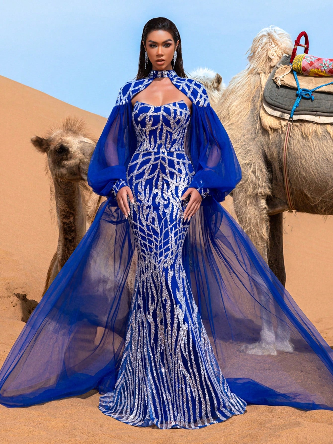 Gorgeous Mock Neck Lantern Sleeves Mesh Overlay Graphic Sequin Formal Cape Dress