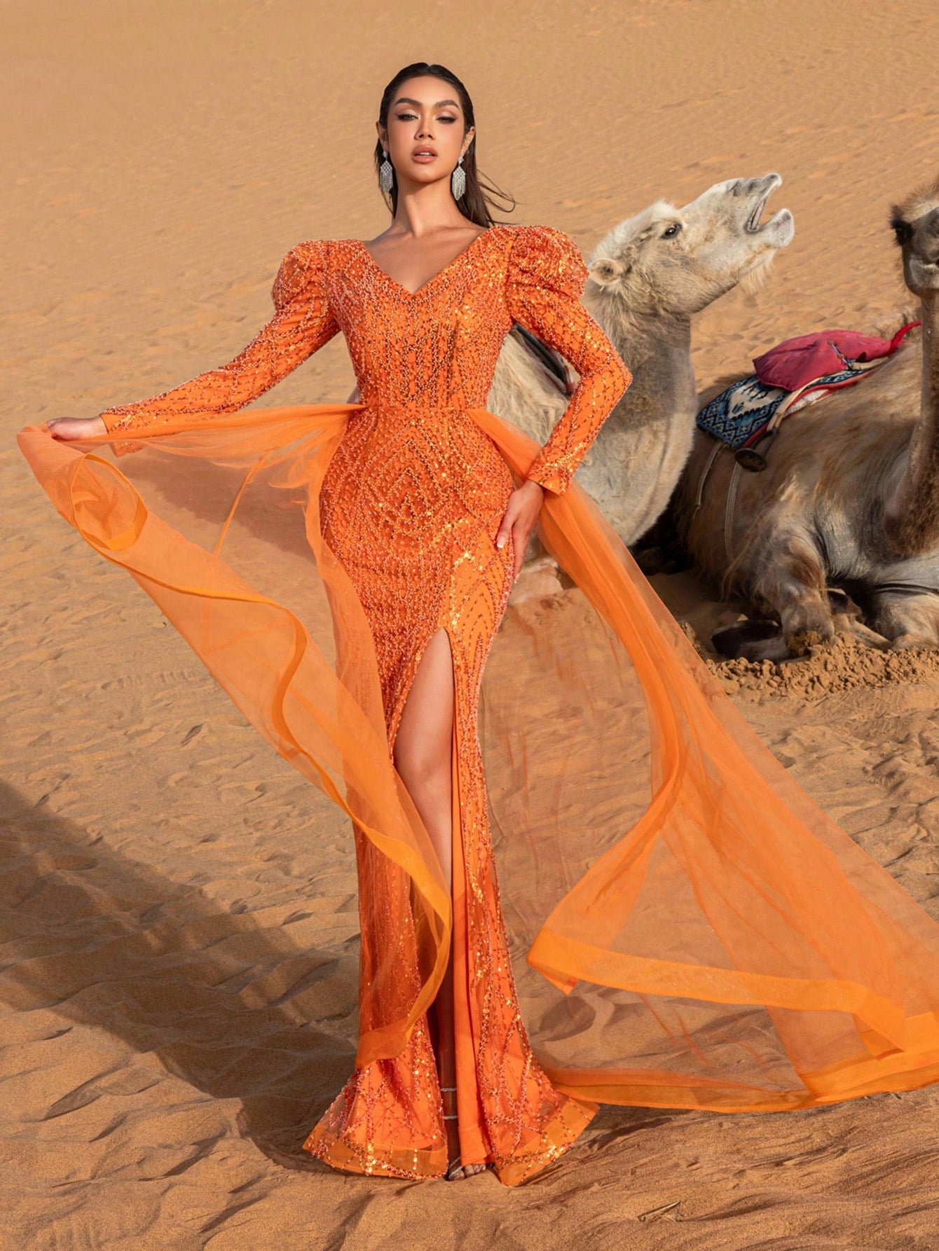 Gorgeous Puffy Sleeves Sheer Overlay Beaded Formal Dresses & Evening Gowns