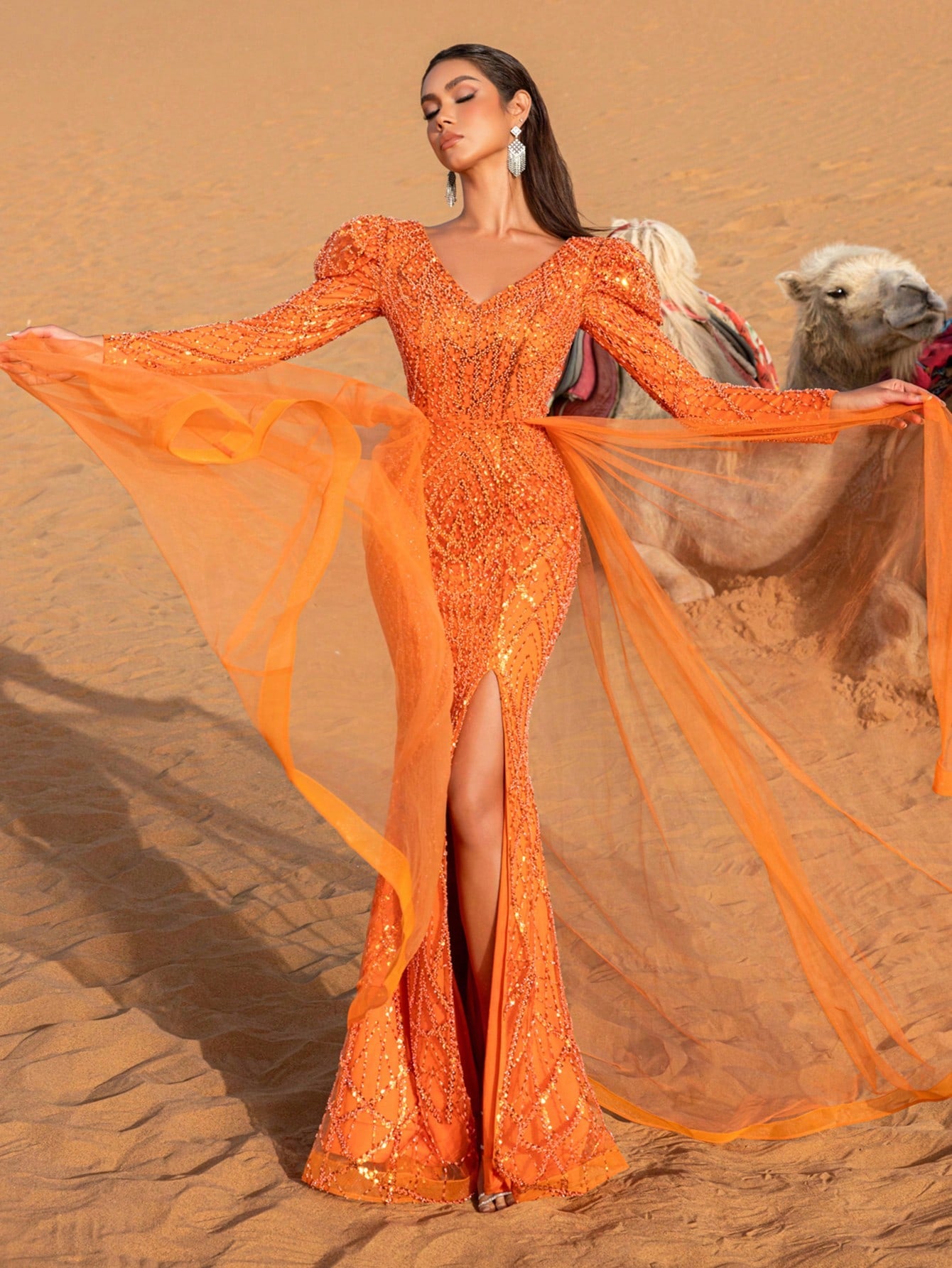 Gorgeous Puffy Sleeves Sheer Overlay Beaded Formal Dresses & Evening Gowns