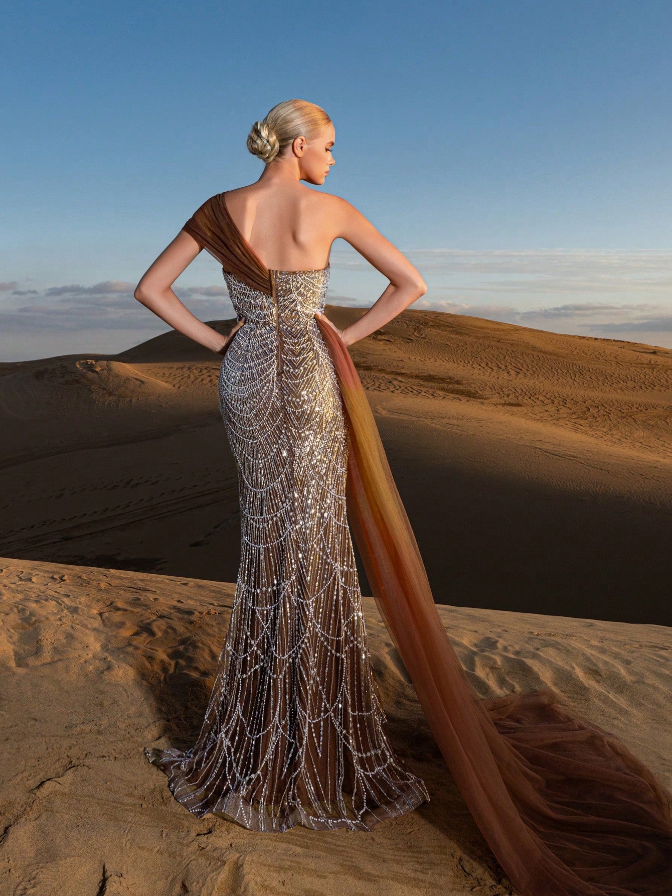 Luxury One-Shoulder Tulle Overlay Beaded Gowns Formal Dresses & Evening Gowns