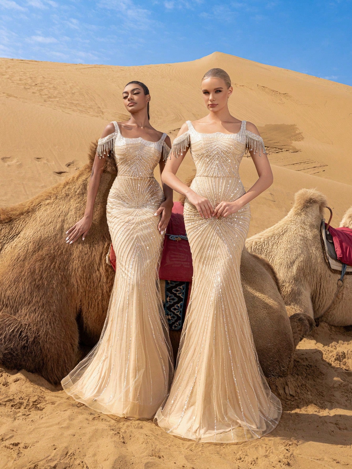 Luxury Fringed Detail Cold Shoulder Mermaid Hem Beaded Formal Dresses & Evening Gowns