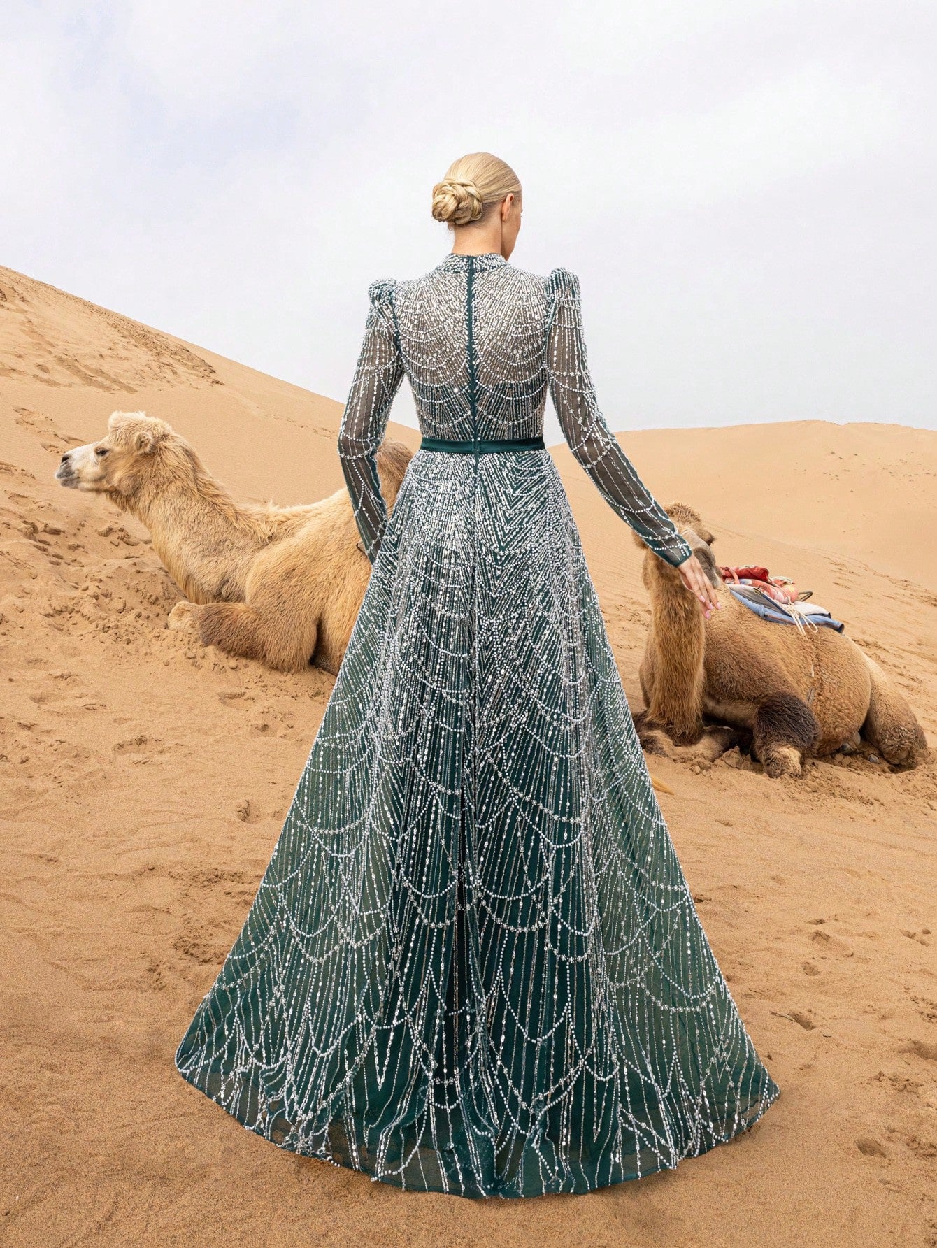 Gorgeous Luxury Stand Collar Long Sleeve Beaded Gowns Formal Dresses & Evening Gowns