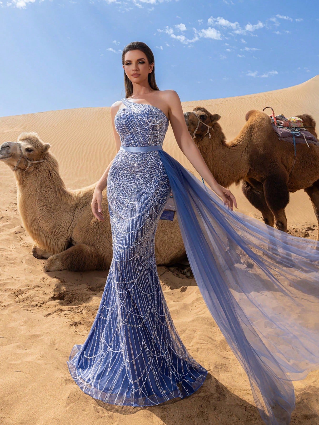 Luxury One Shoulder Sheer Overlay Beaded Formal Evening Dress & Embellished Dress & Beaded Gowns & Evening Gowns