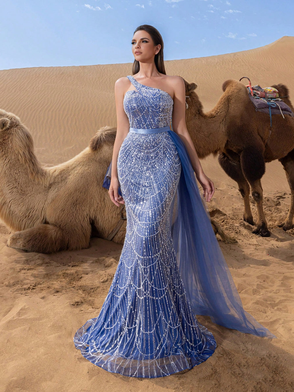 Luxury One Shoulder Sheer Overlay Beaded Formal Evening Dress & Embellished Dress & Beaded Gowns & Evening Gowns