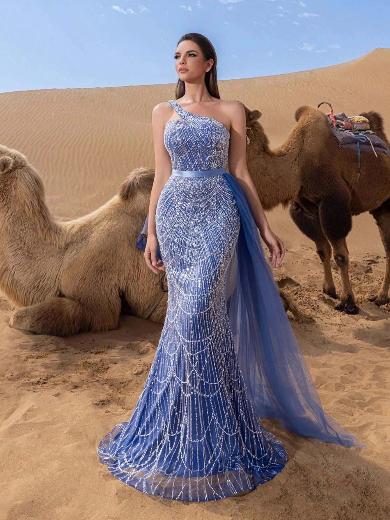 Luxury One Shoulder Sheer Overlay Beaded Formal Evening Dress & Embellished Dress & Beaded Gowns & Evening Gowns