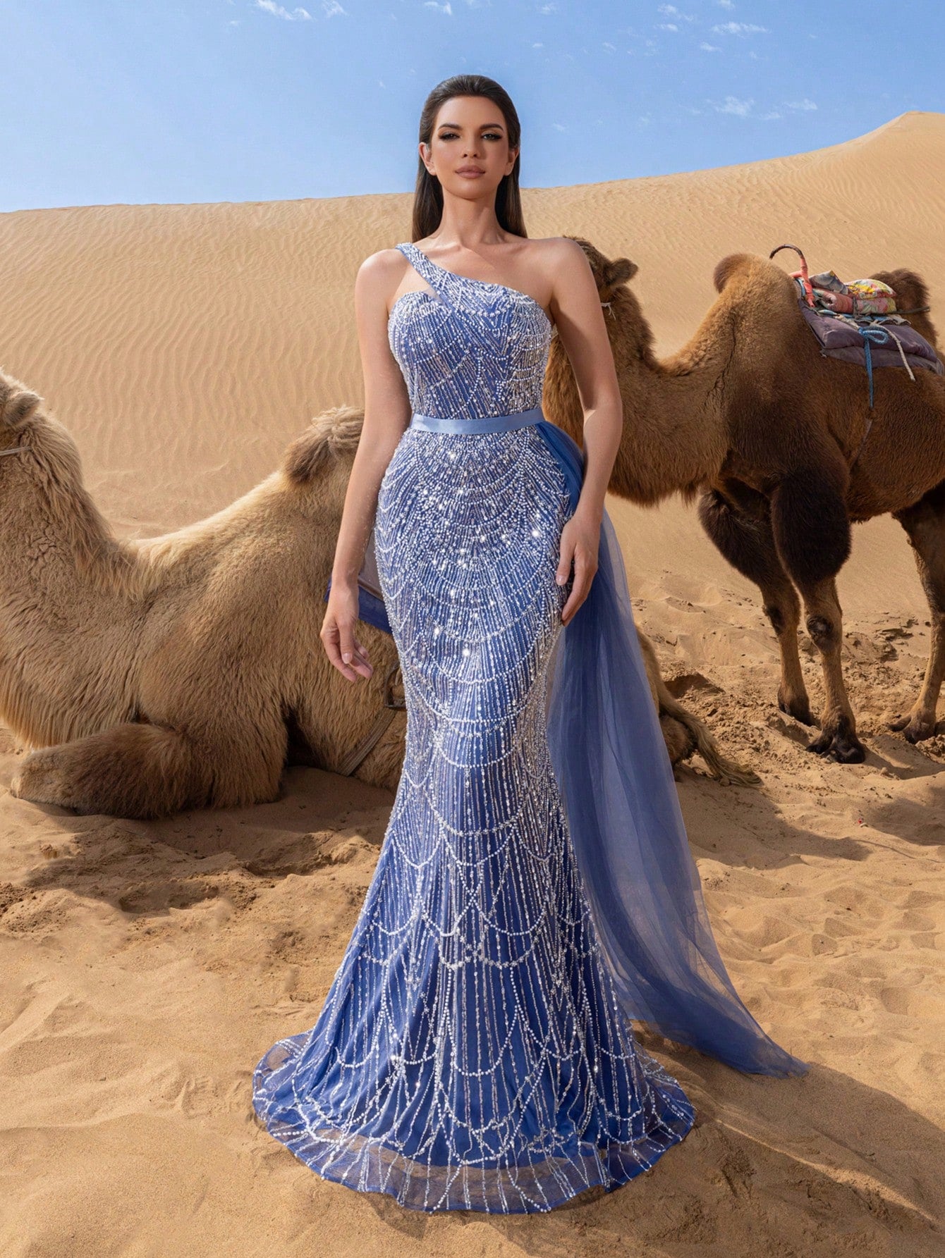 Luxury One Shoulder Sheer Overlay Beaded Formal Evening Dress & Embellished Dress & Beaded Gowns & Evening Gowns