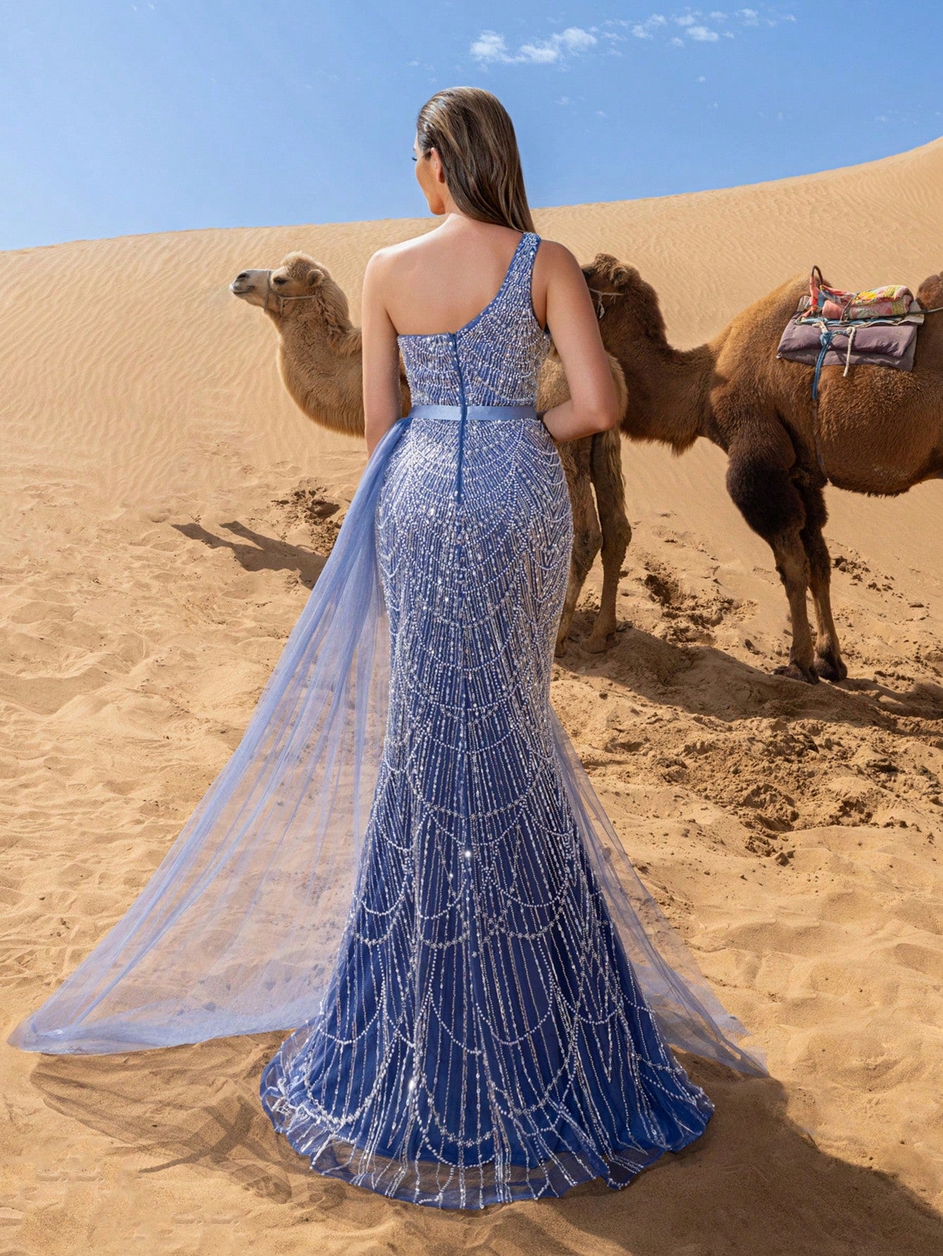 Luxury One Shoulder Sheer Overlay Beaded Formal Evening Dress & Embellished Dress & Beaded Gowns & Evening Gowns