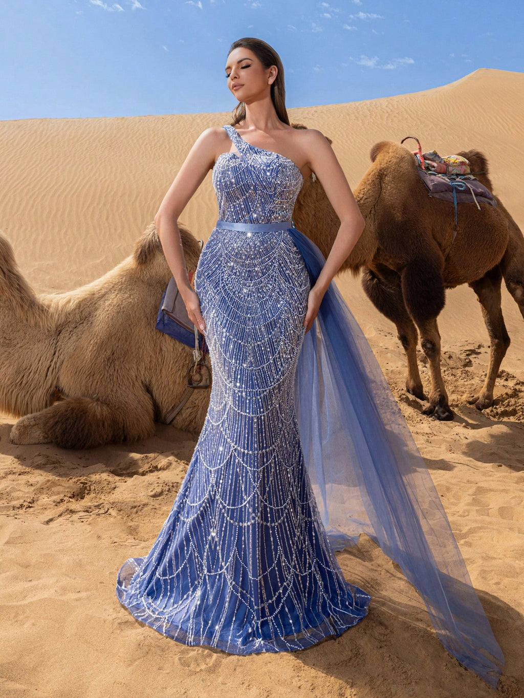 Luxury One Shoulder Sheer Overlay Beaded Formal Evening Dress & Embellished Dress & Beaded Gowns & Evening Gowns