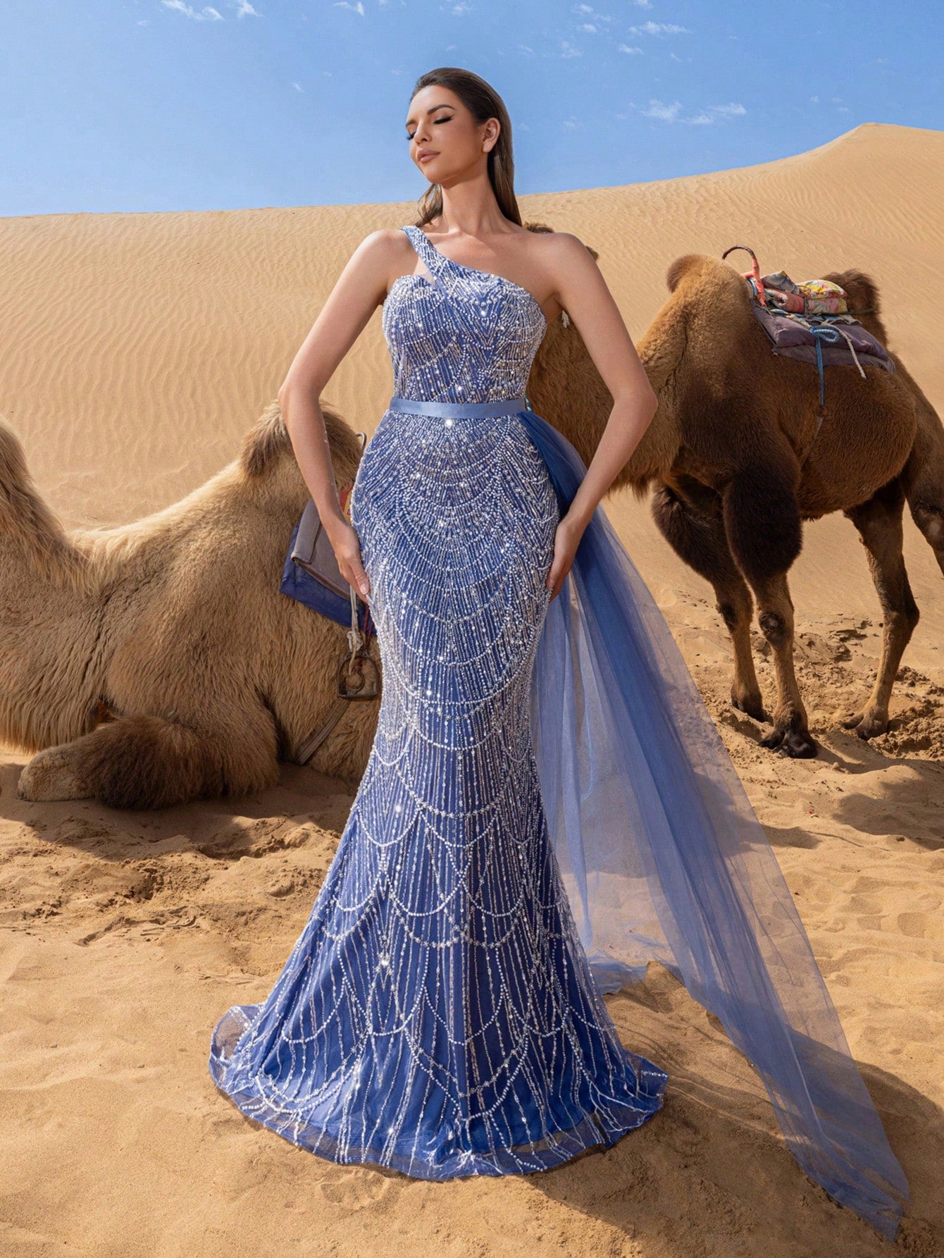 Luxury One Shoulder Sheer Overlay Beaded Formal Evening Dress & Embellished Dress & Beaded Gowns & Evening Gowns