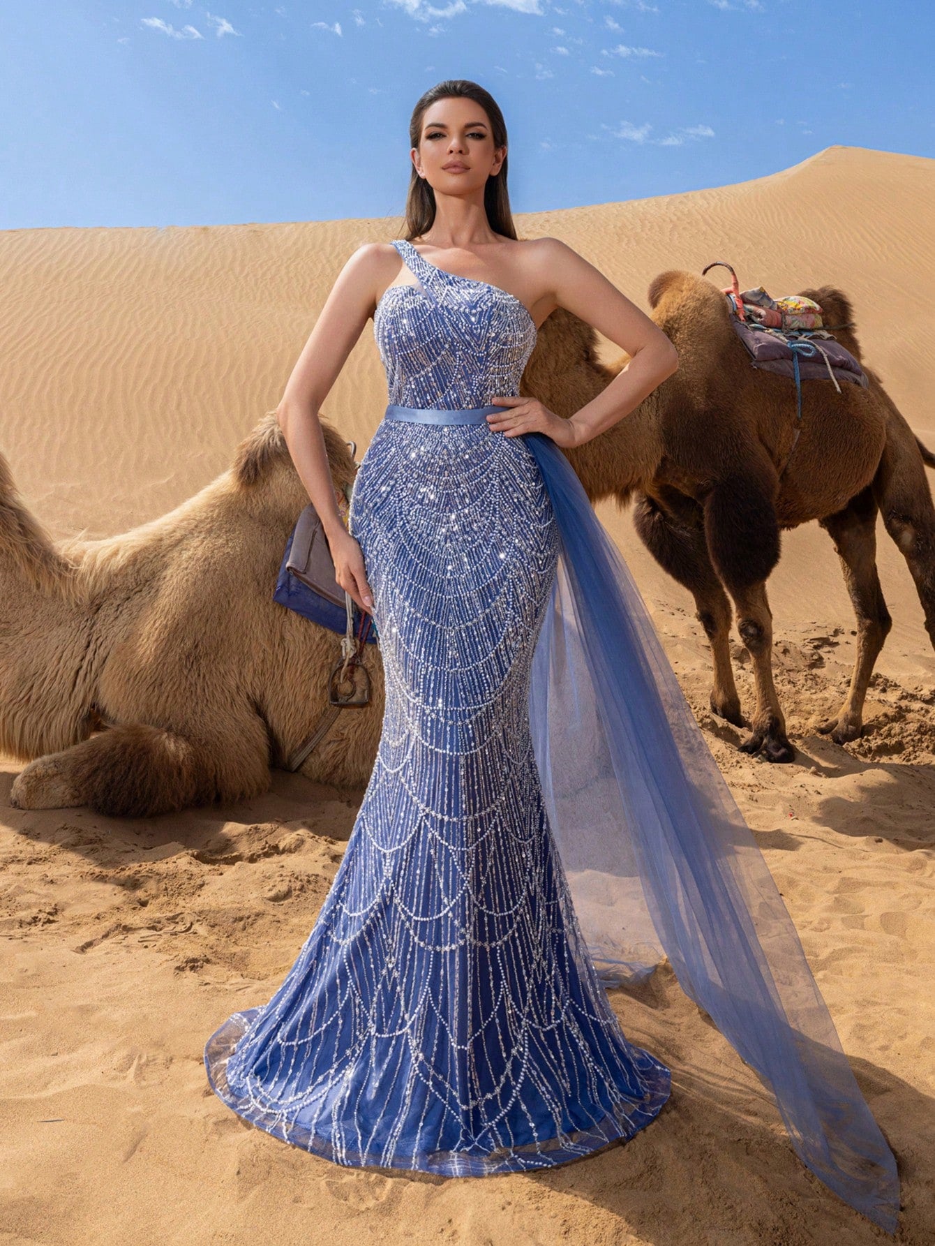 Luxury One Shoulder Sheer Overlay Beaded Formal Evening Dress & Embellished Dress & Beaded Gowns & Evening Gowns