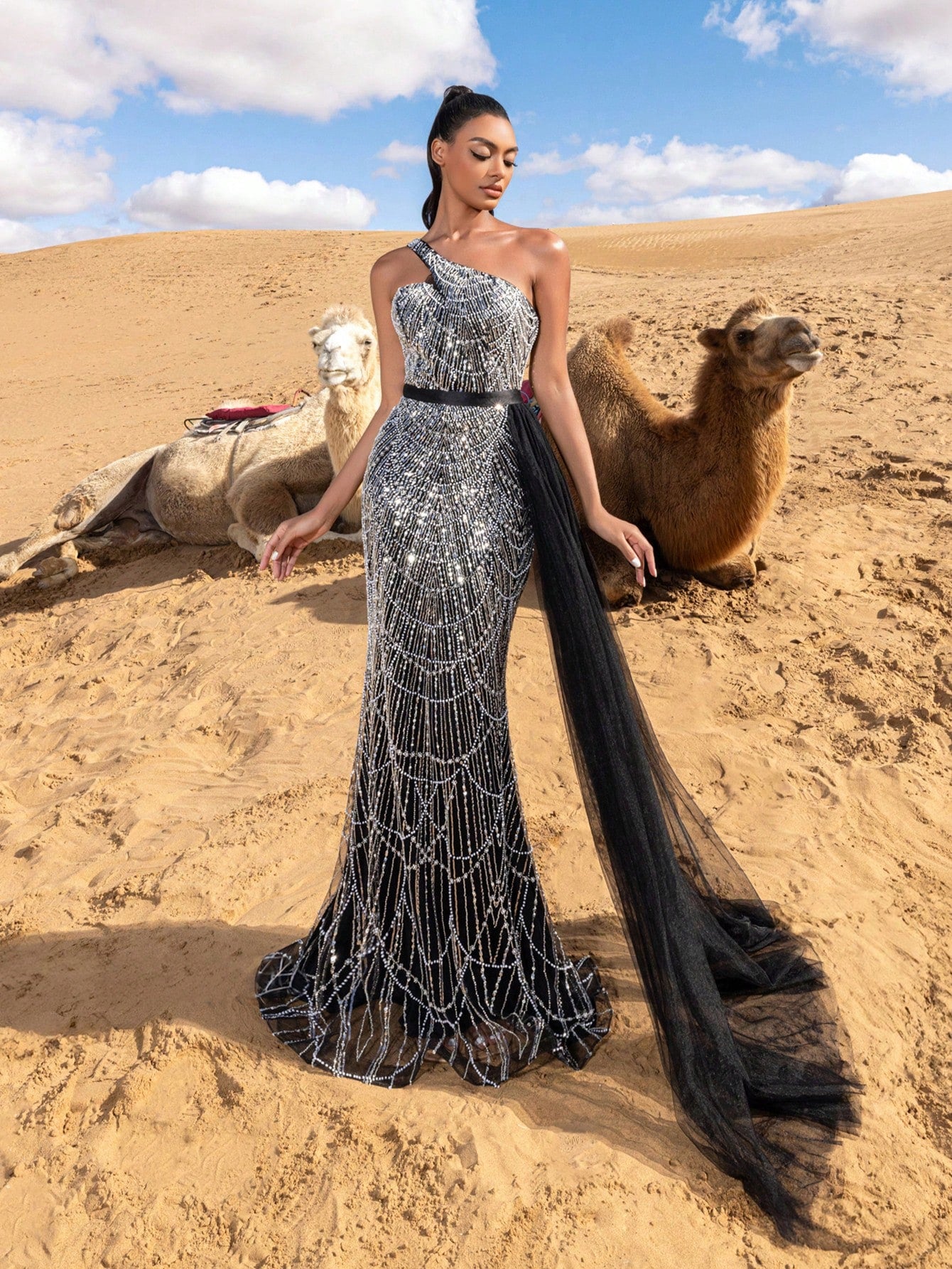 Luxury One Shoulder Sheer Overlay Beaded Formal Evening Dress & Embellished Dress & Beaded Gowns & Evening Gowns