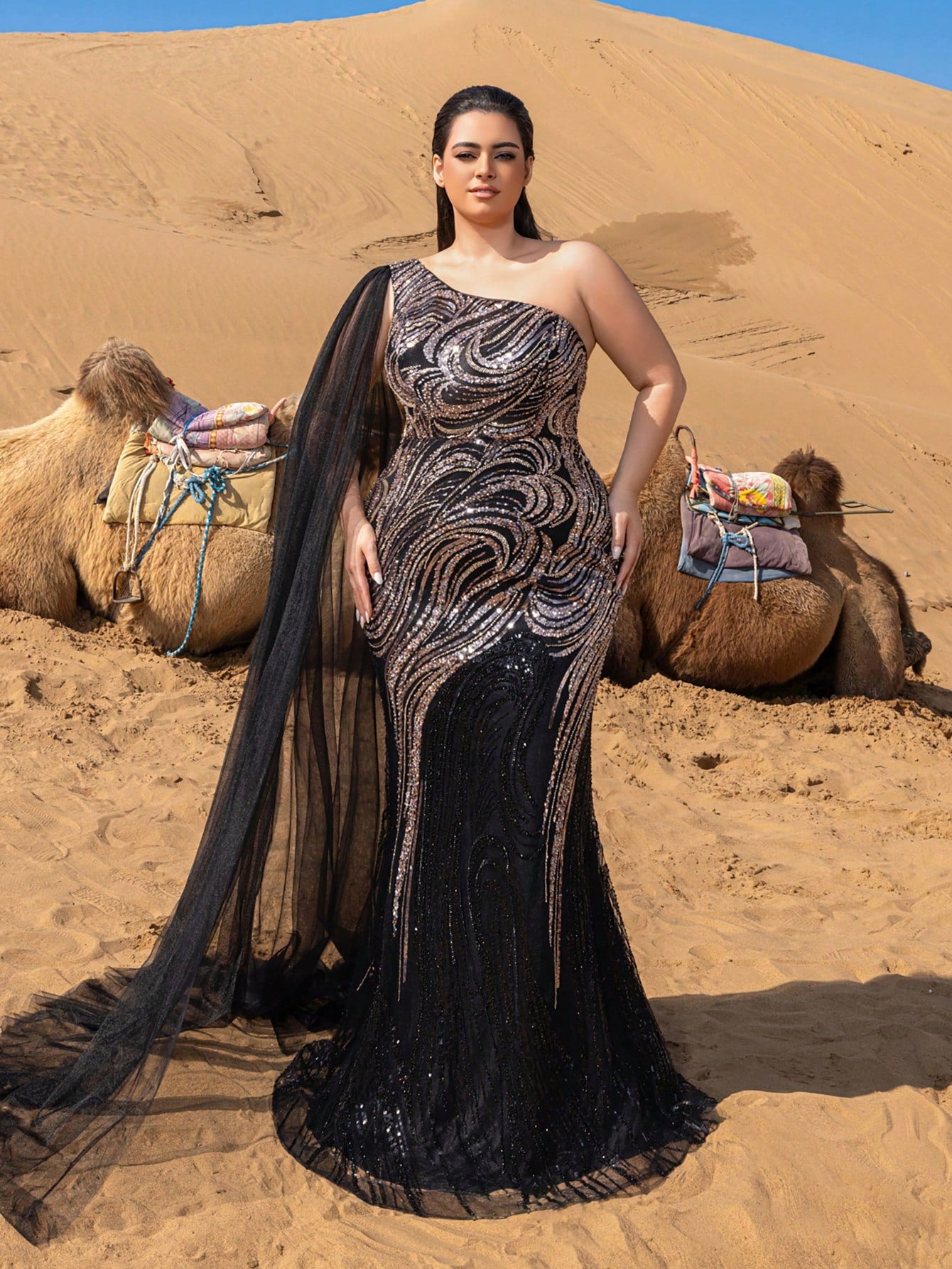 Plus Gorgeous One Shoulder Sheer Cloak Sleeve Graphic Sequin Beaded Formal Dresses & Evening Gowns