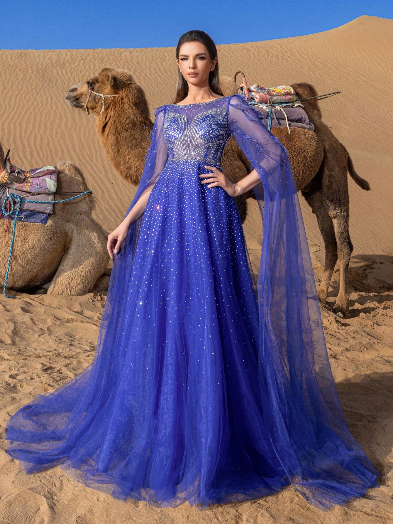 Gorgeous Luxury Extra-long Sleeves Rhinestone Detail Mesh Overlay Beaded Gowns Formal Dresses & Evening Gowns