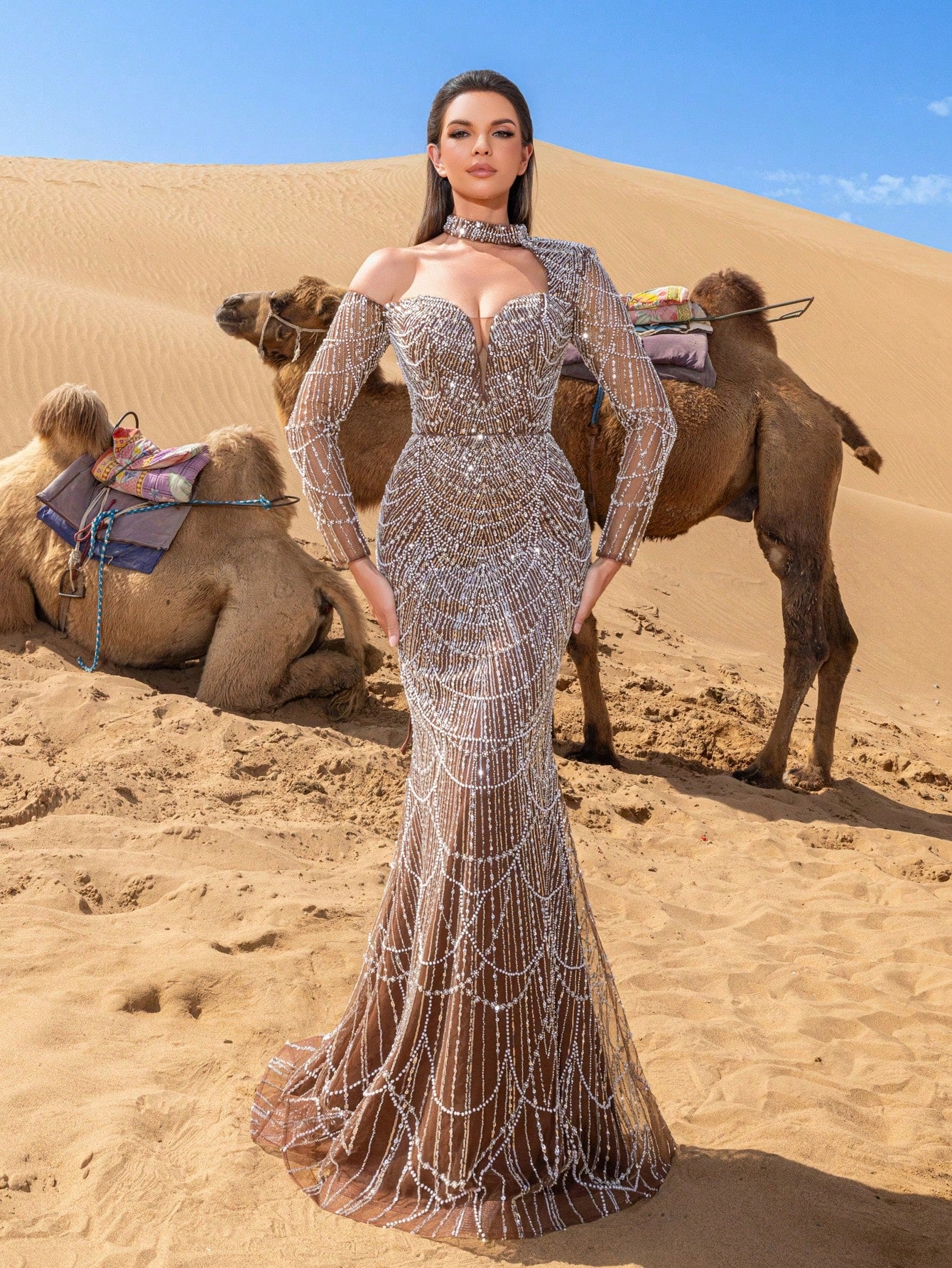 Glamorous Beaded Sequin Mermaid Gown with One-Shoulder Choker & Sheer Sleeves