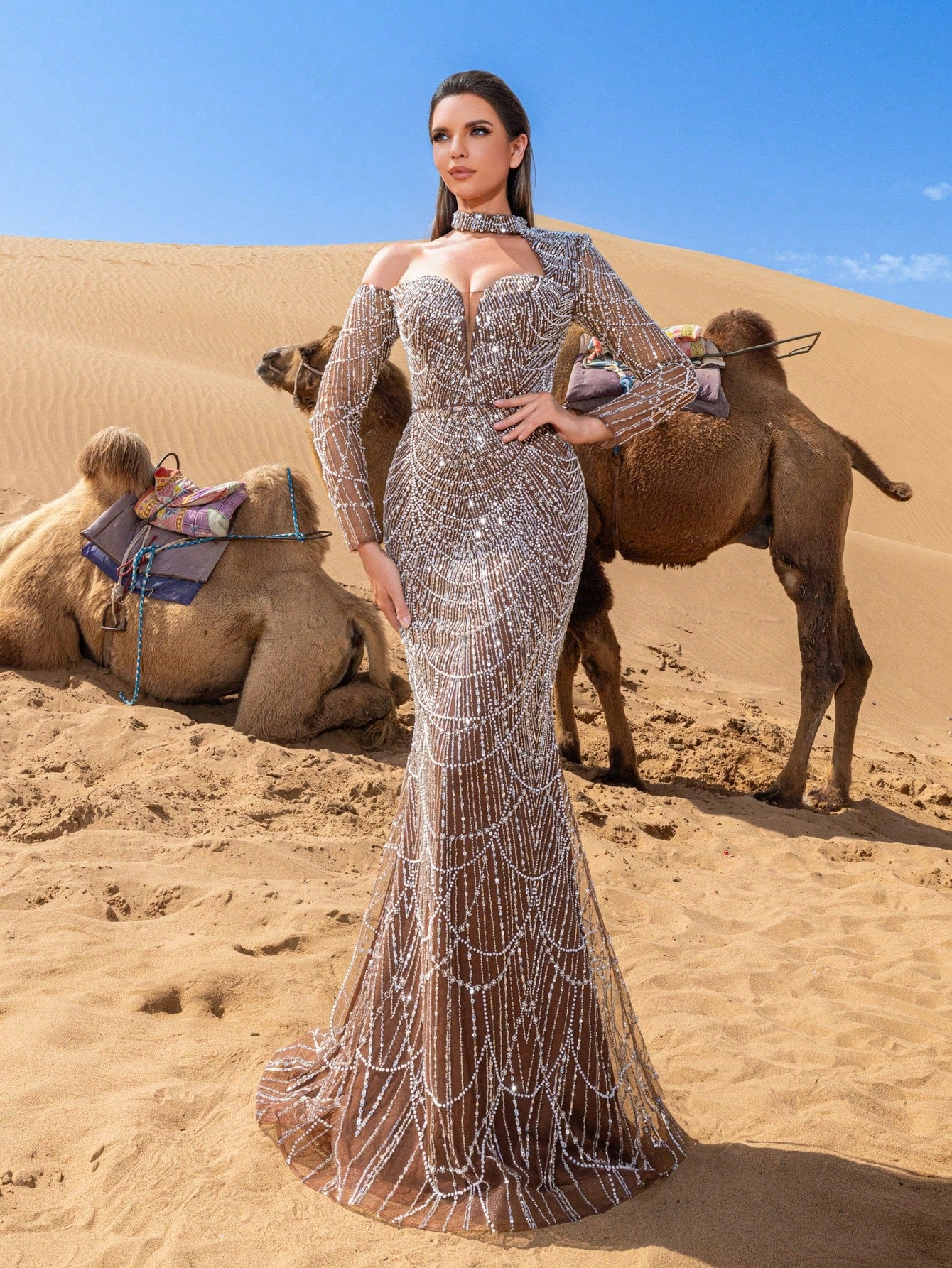 Glamorous Beaded Sequin Mermaid Gown with One-Shoulder Choker & Sheer Sleeves