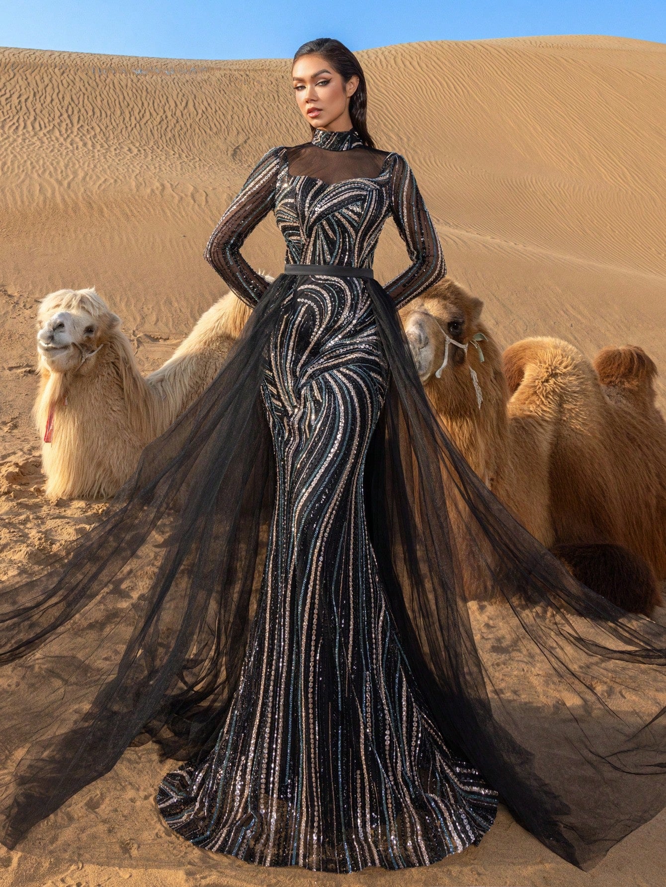 Luxury Mock Neck Sheer Sleeves Tulle Train Graphic Beaded Formal Dresses & Evening Gowns