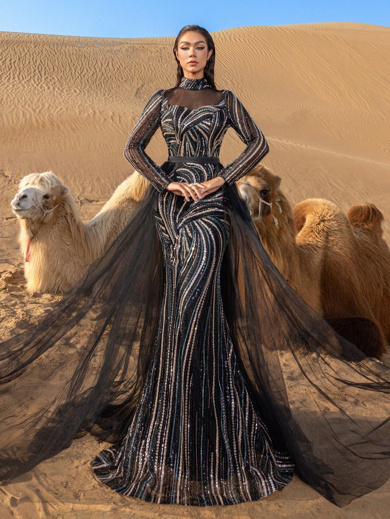 Luxury Mock Neck Sheer Sleeves Tulle Train Graphic Beaded Formal Dresses & Evening Gowns