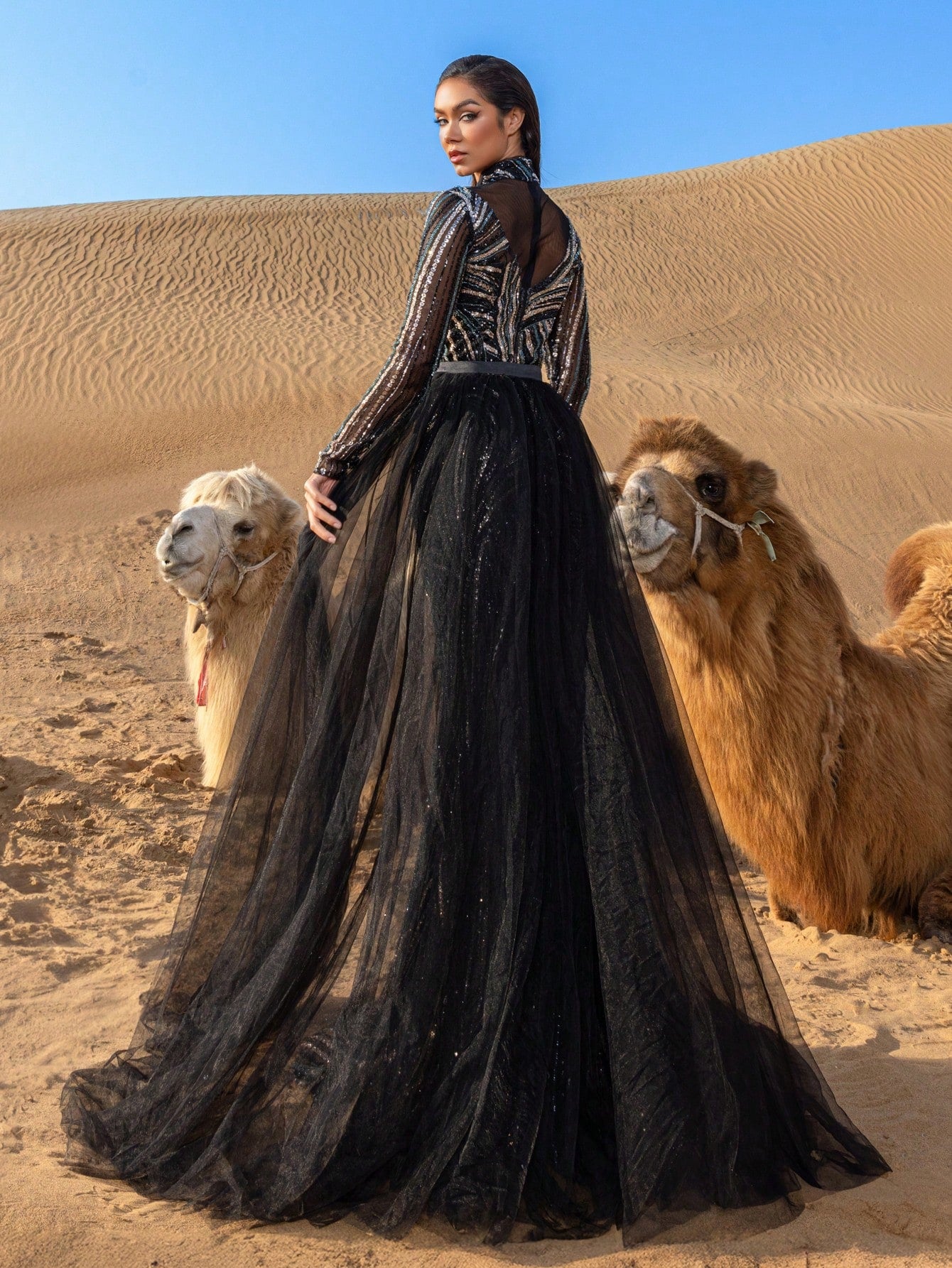 Luxury Mock Neck Sheer Sleeves Tulle Train Graphic Beaded Formal Dresses & Evening Gowns
