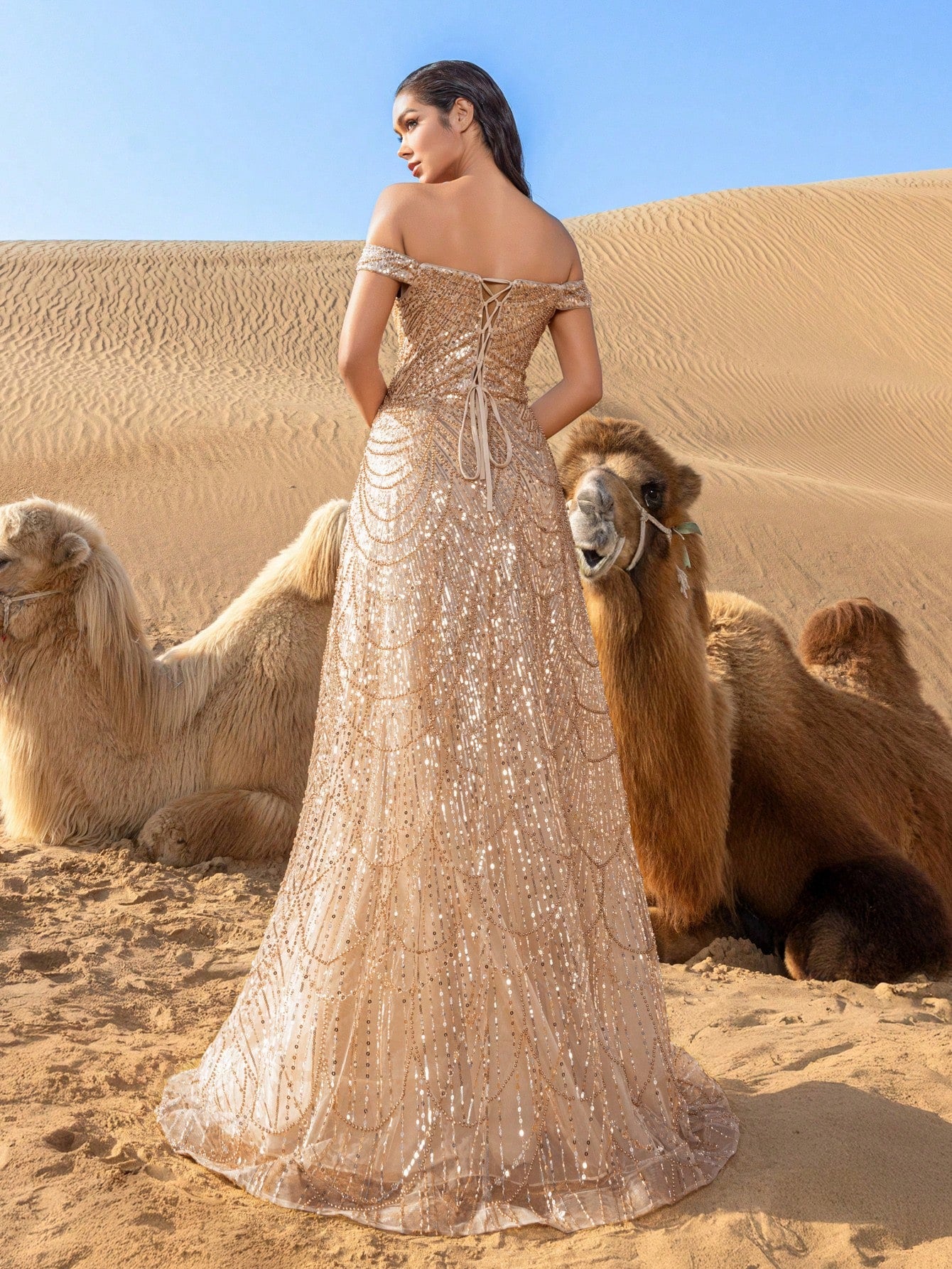 Luxury Off Shoulder Sweetheart Neck Lace-up Back Beaded Formal Dresses & Evening Gowns